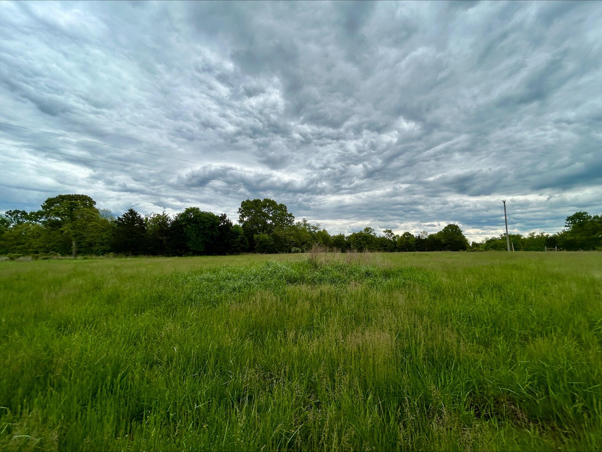 6609 County Road O-535 Property Photo 20