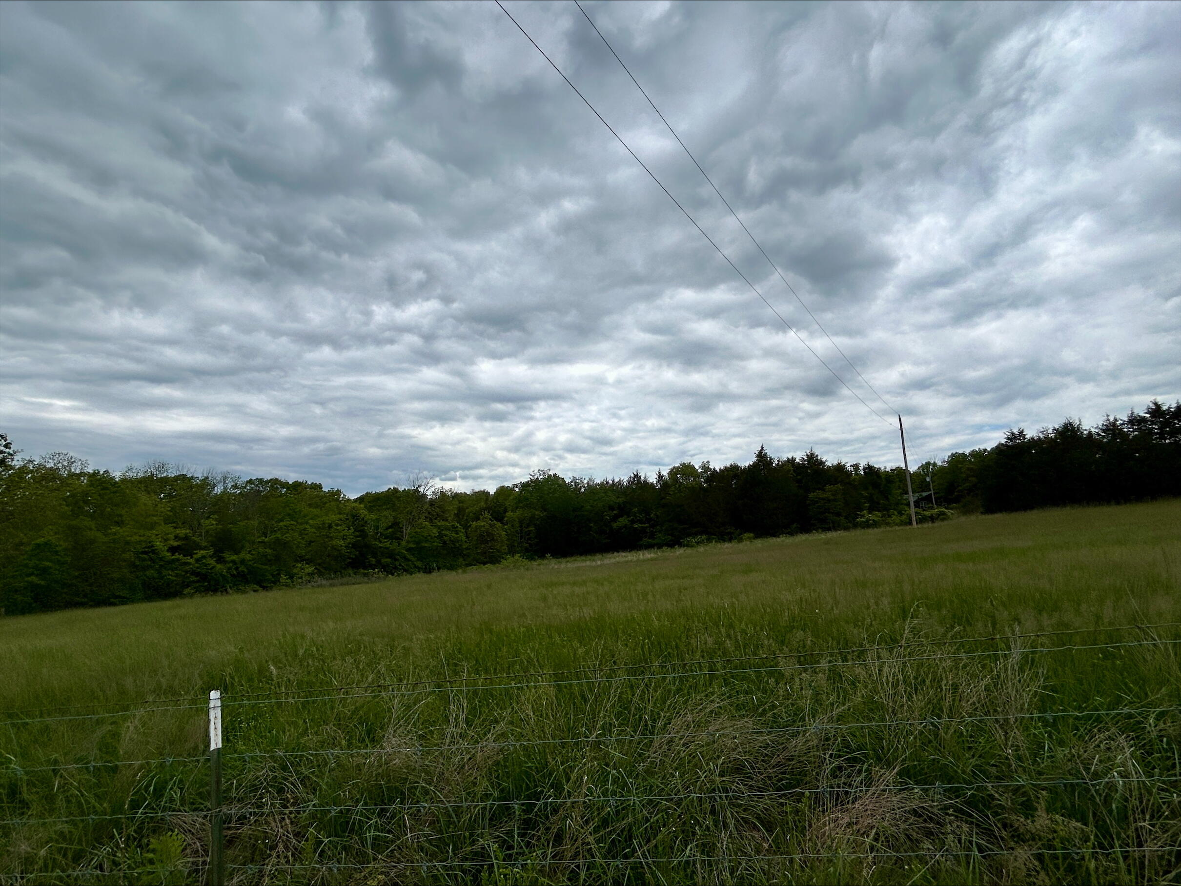 6609 County Road O-535 Property Photo 30
