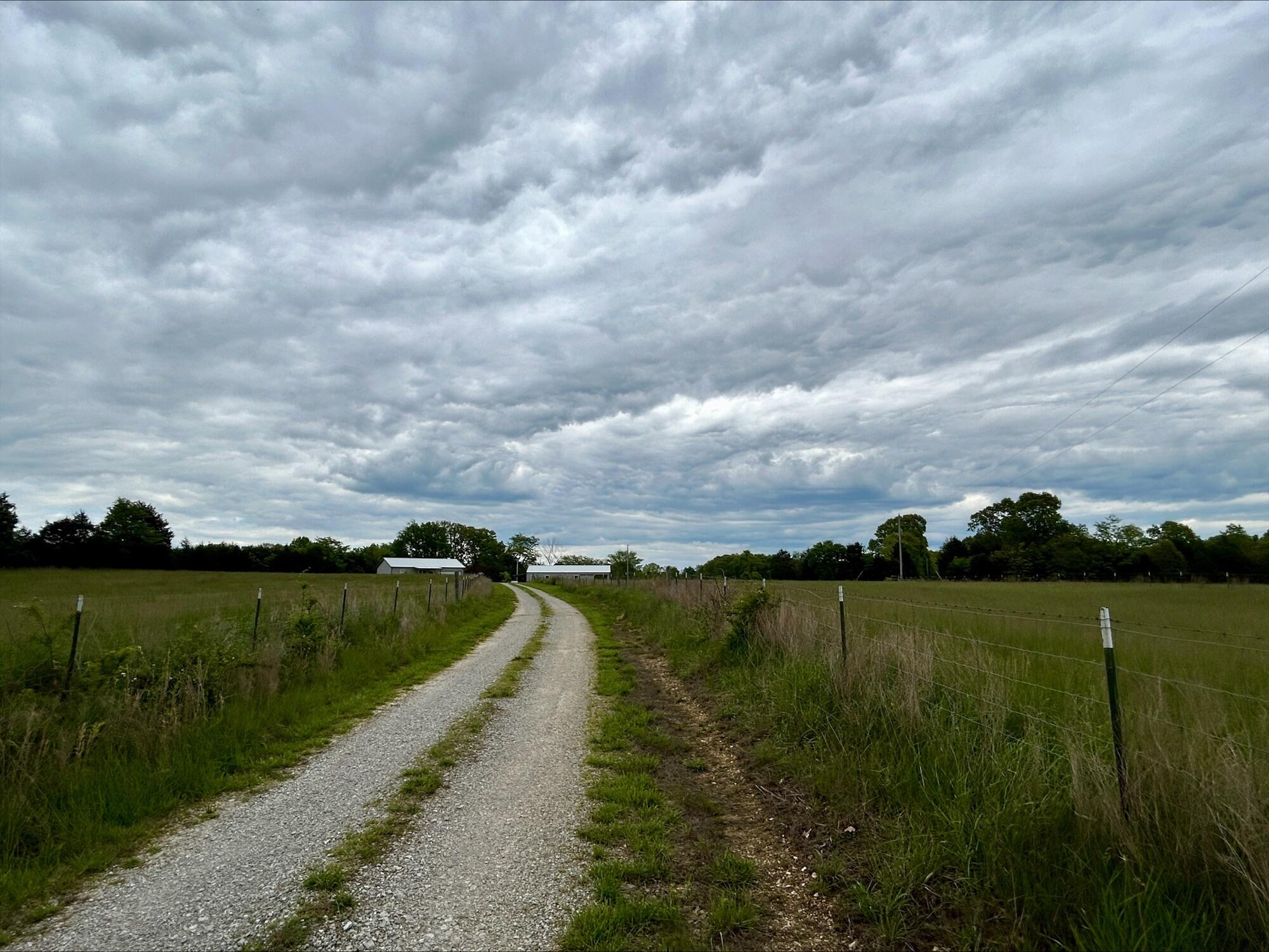 6609 County Road O-535 Property Photo 33