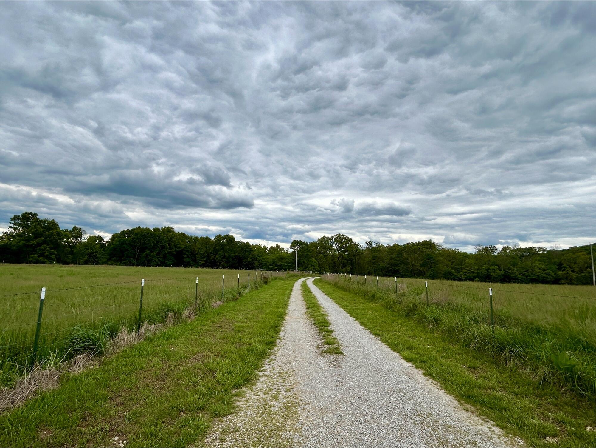 6609 County Road O-535 Property Photo 35