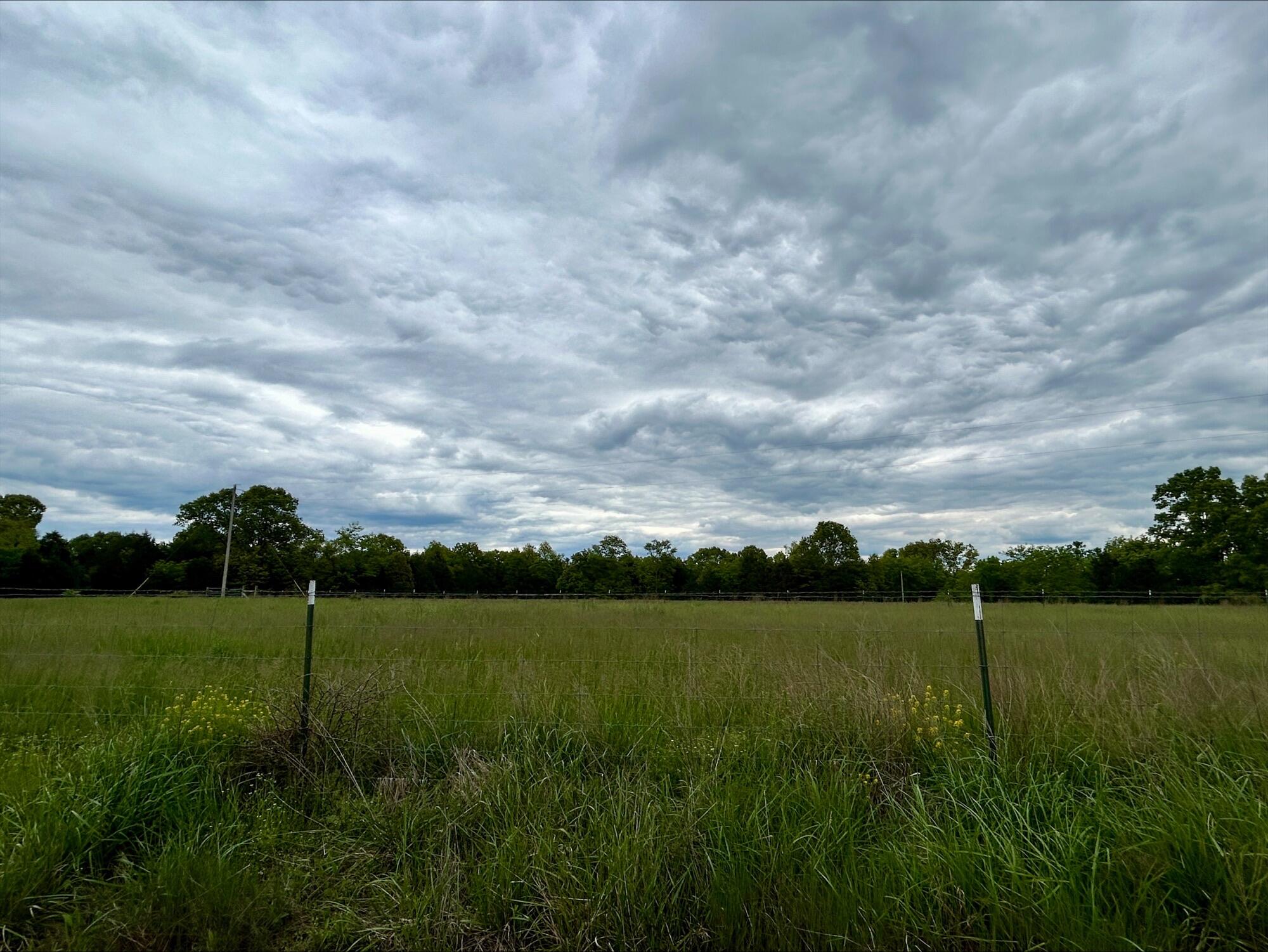 6609 County Road O-535 Property Photo 39