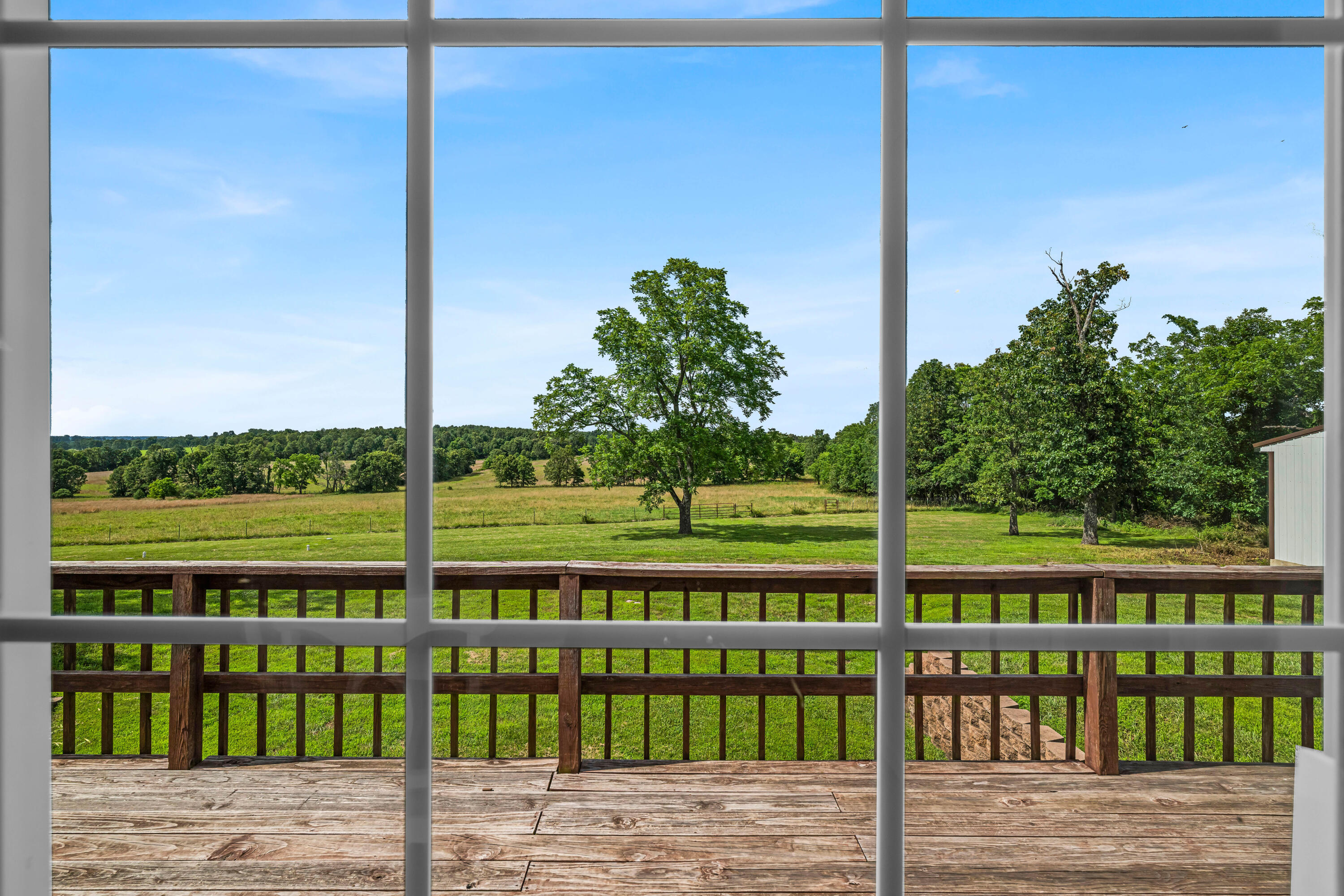 3503 Co Rd 7640 (40 Acre Tract) Property Photo 16