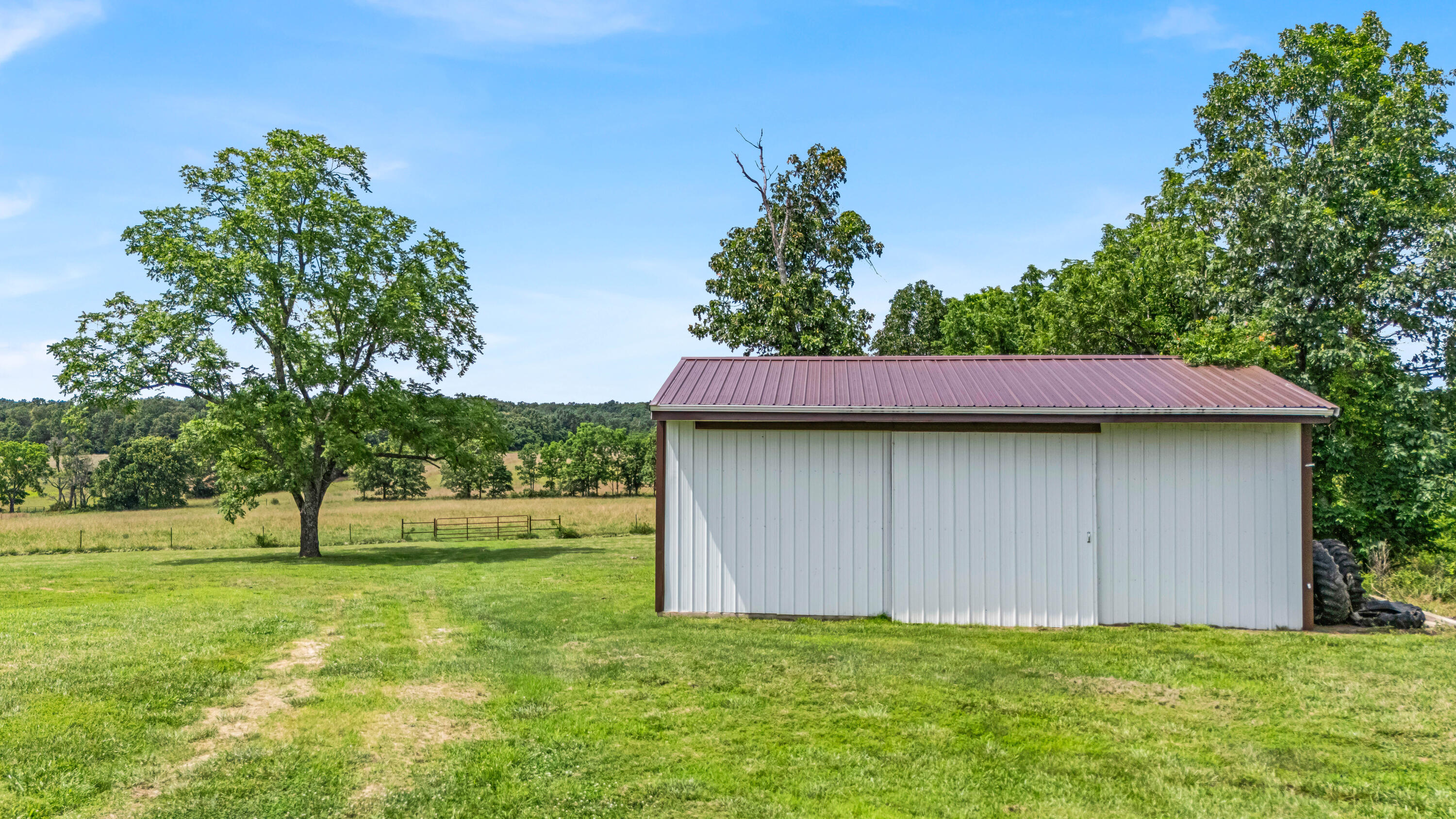 3503 Co Rd 7640 (40 Acre Tract) Property Photo 36