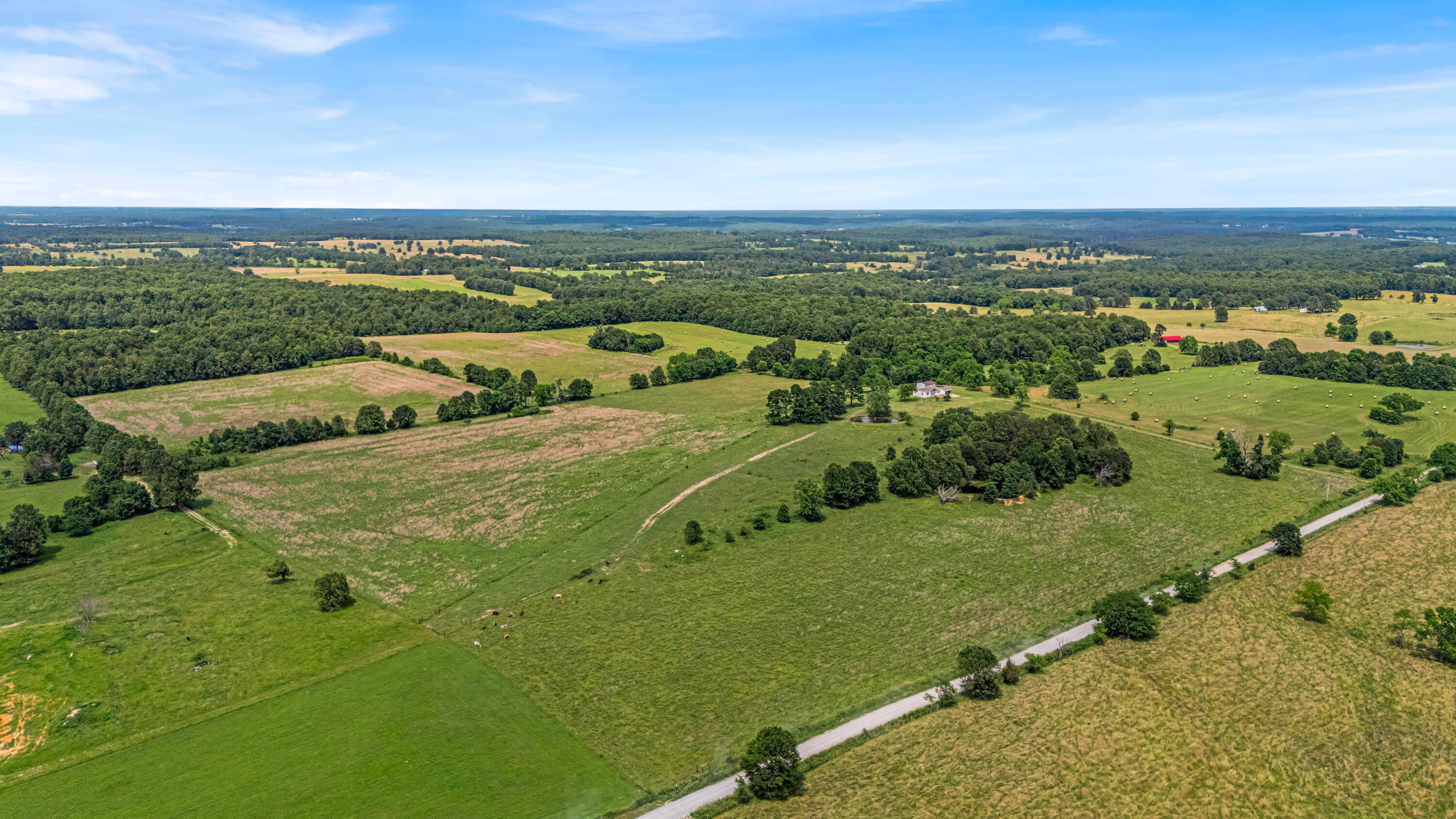 3503 Co Rd 7640 (40 Acre Tract) Property Photo 46