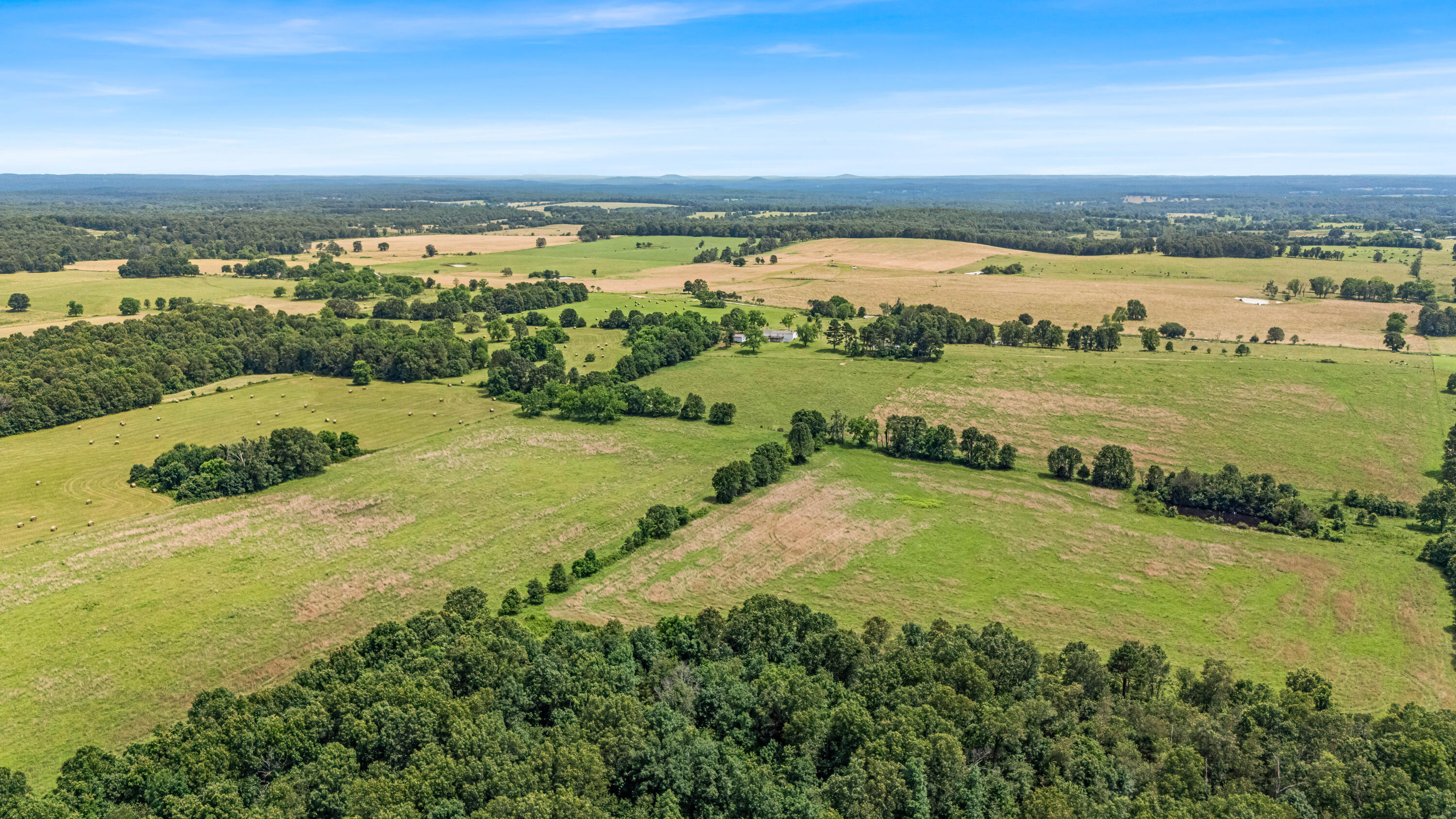 3503 Co Rd 7640 (40 Acre Tract) Property Photo 48
