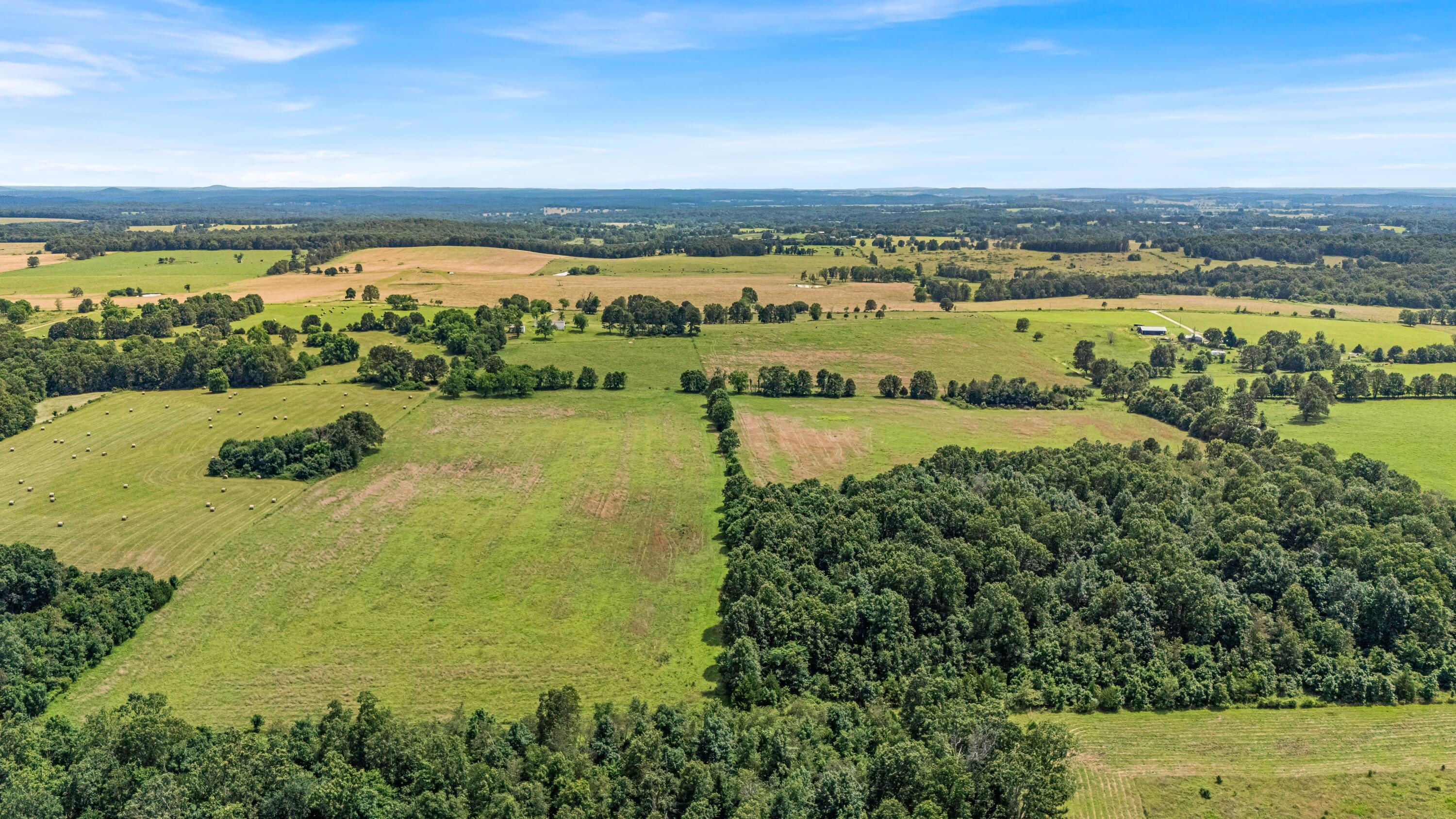 3503 Co Rd 7640 (40 Acre Tract) Property Photo 49