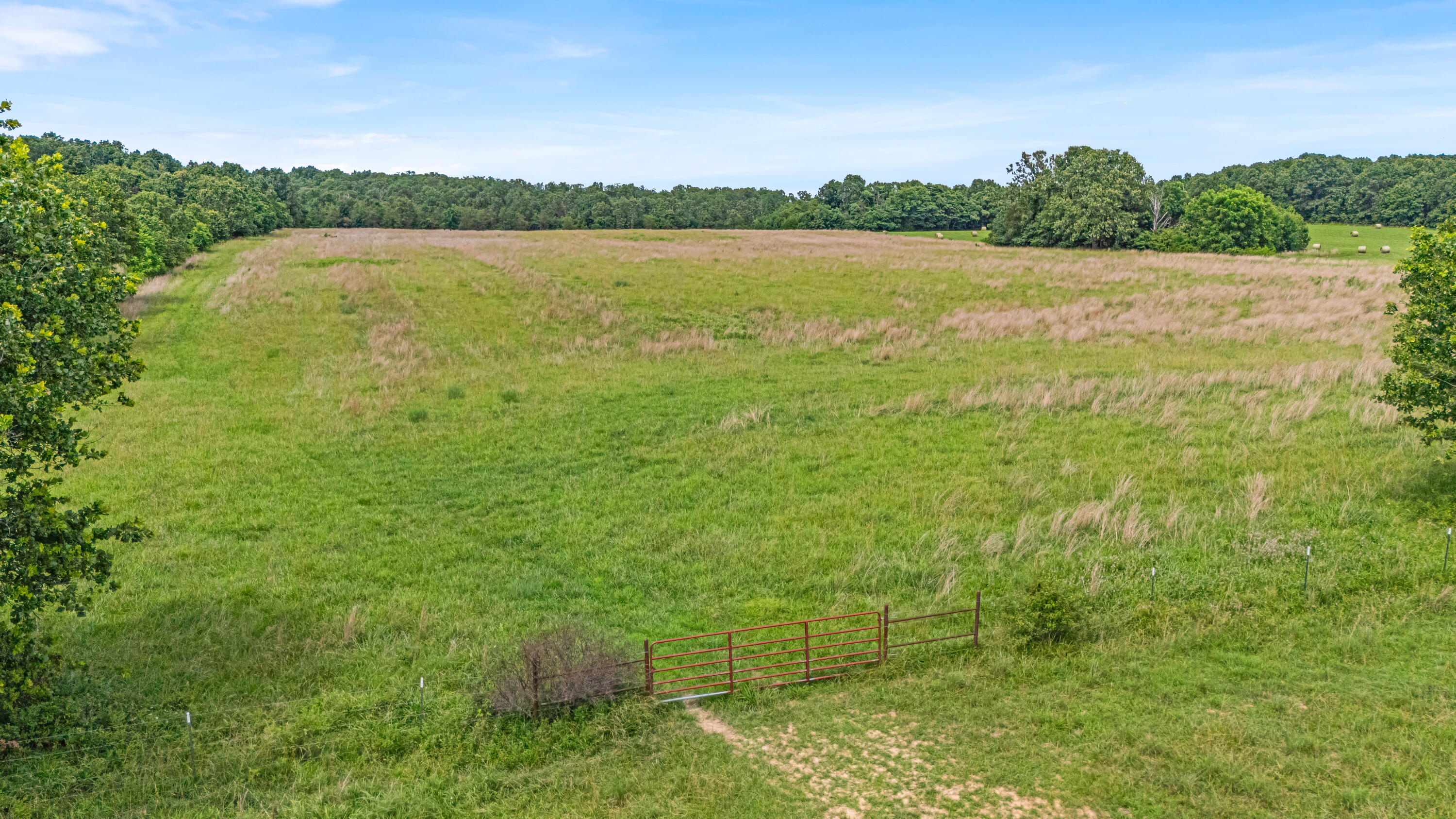 3503 Co Rd 7640 (40 Acre Tract) Property Photo 59