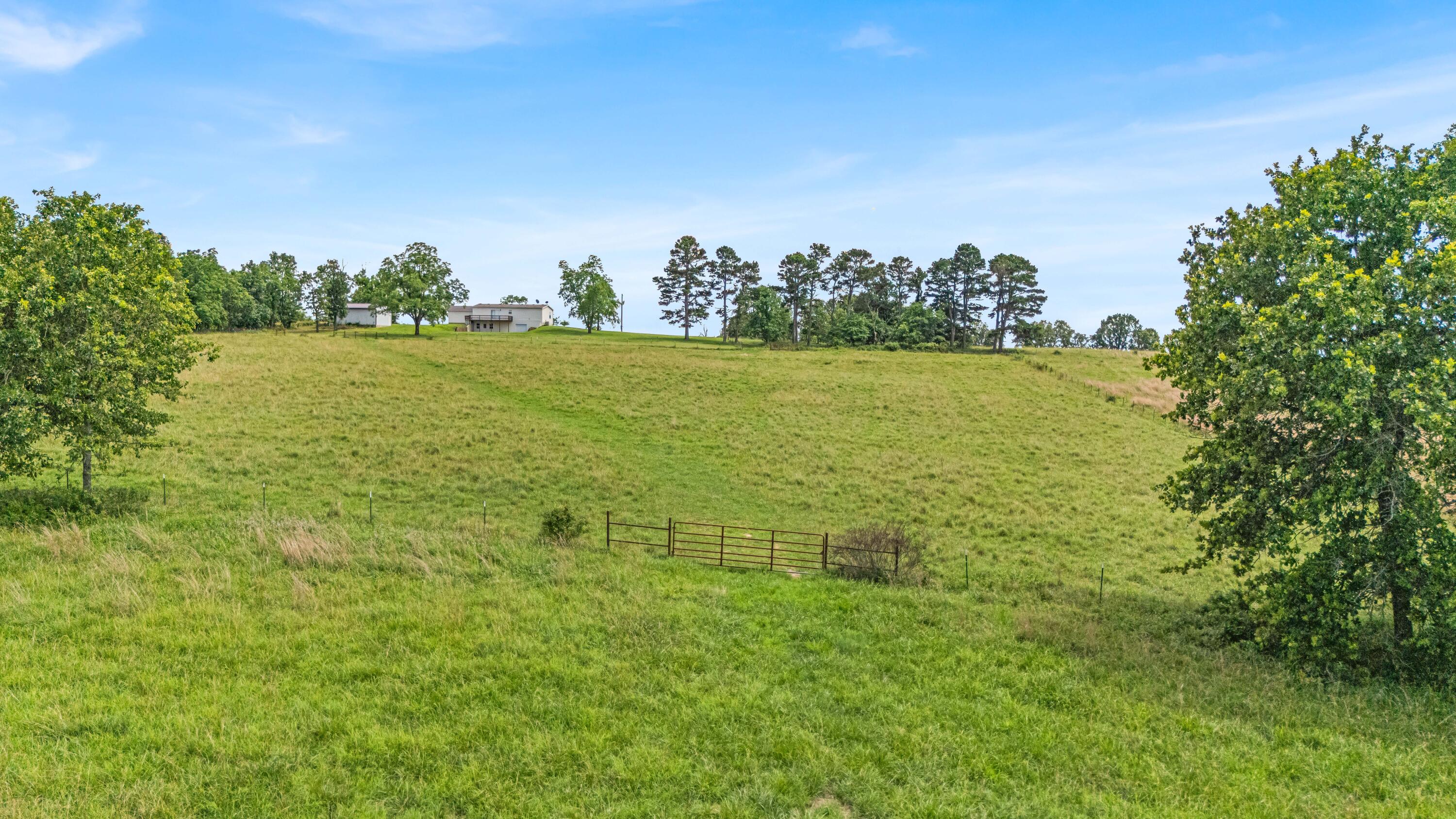 3503 Co Rd 7640 (40 Acre Tract) Property Photo 60
