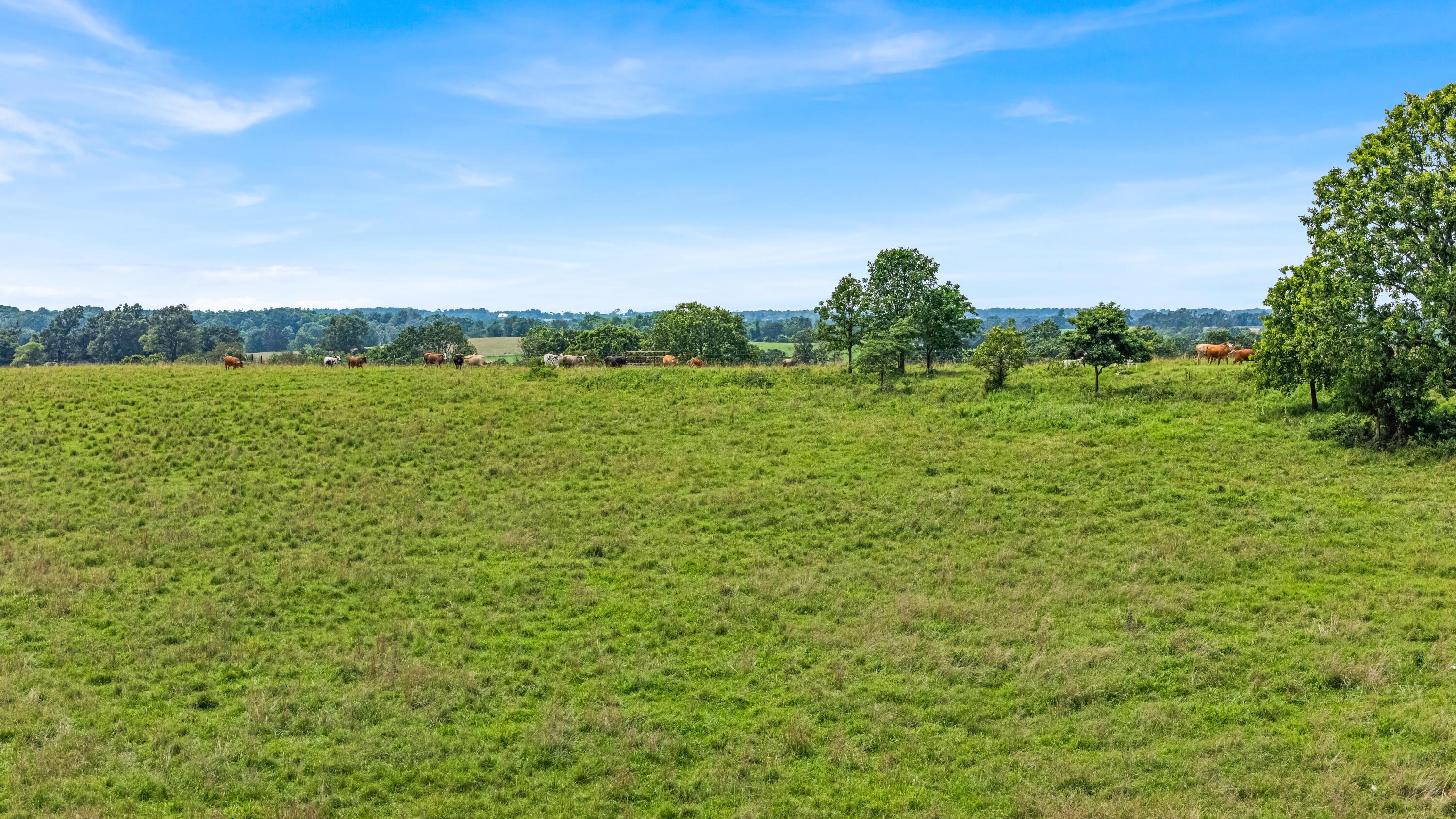 3503 Co Rd 7640 (40 Acre Tract) Property Photo 63
