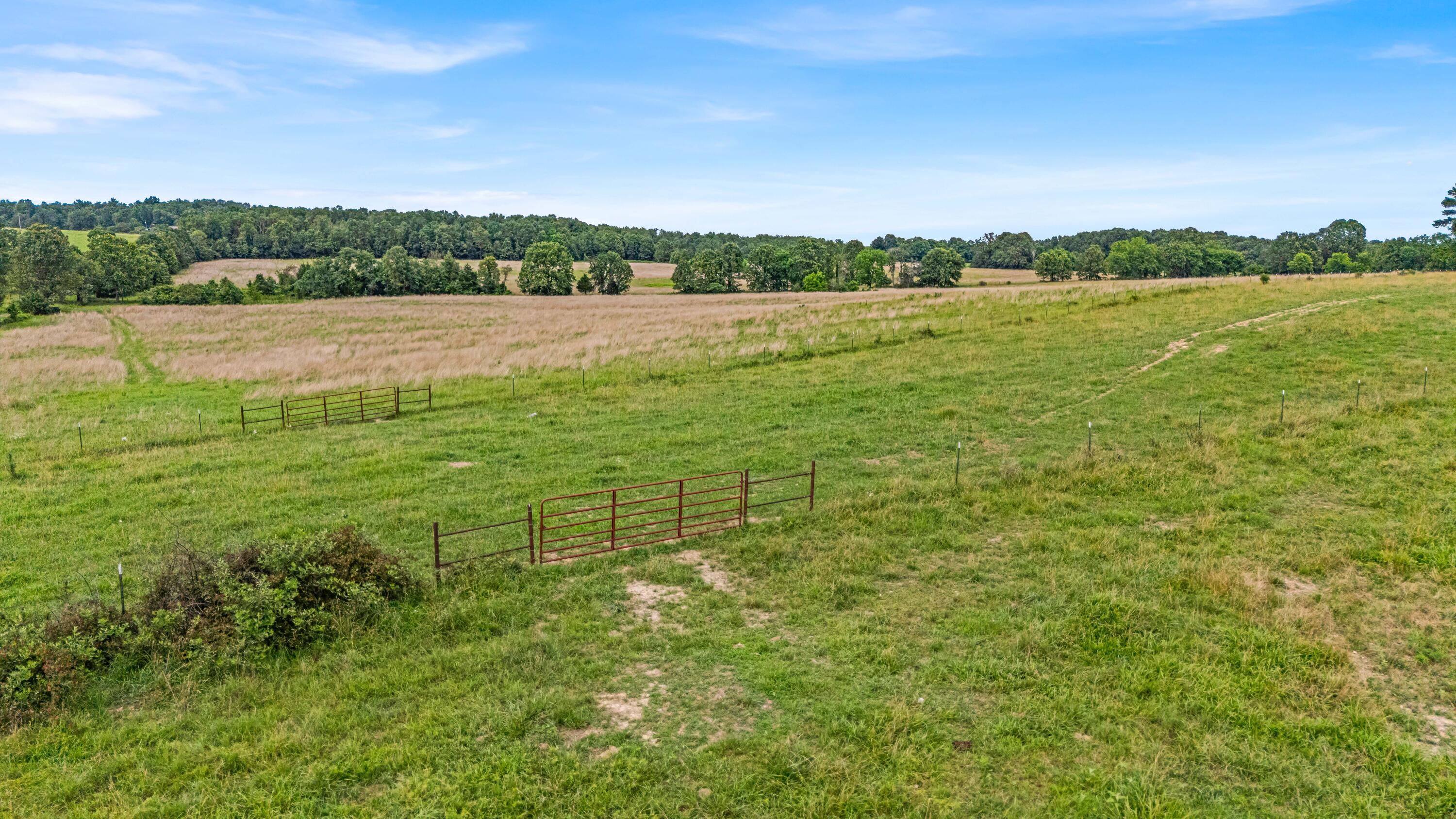 3503 Co Rd 7640 (40 Acre Tract) Property Photo 64