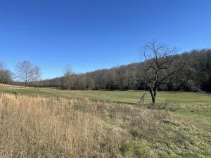 Tract 7c Route 4 Property Photo 2