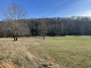 Tract 7c Route 4 Property Photo 3