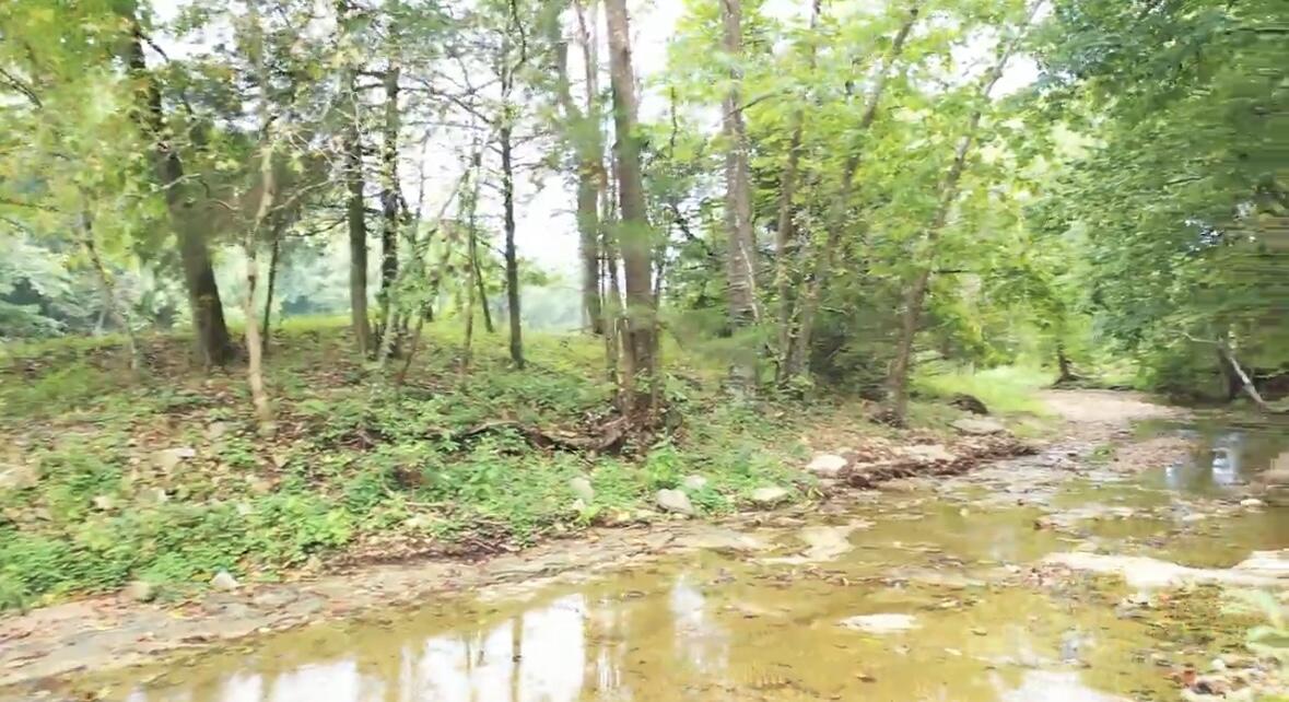 Tract 7c Route 4 Property Photo 6