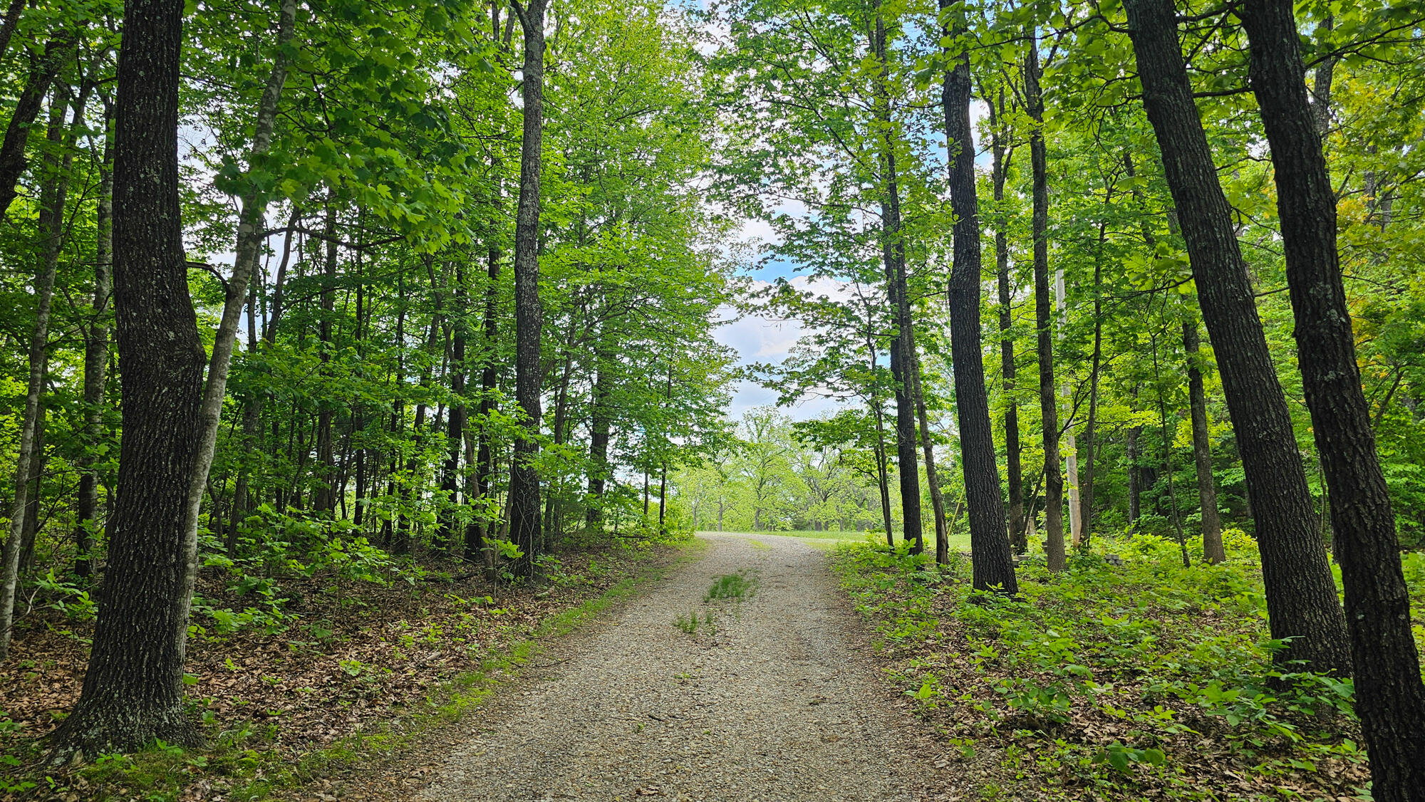 2789 Highway Jj Property Photo 5