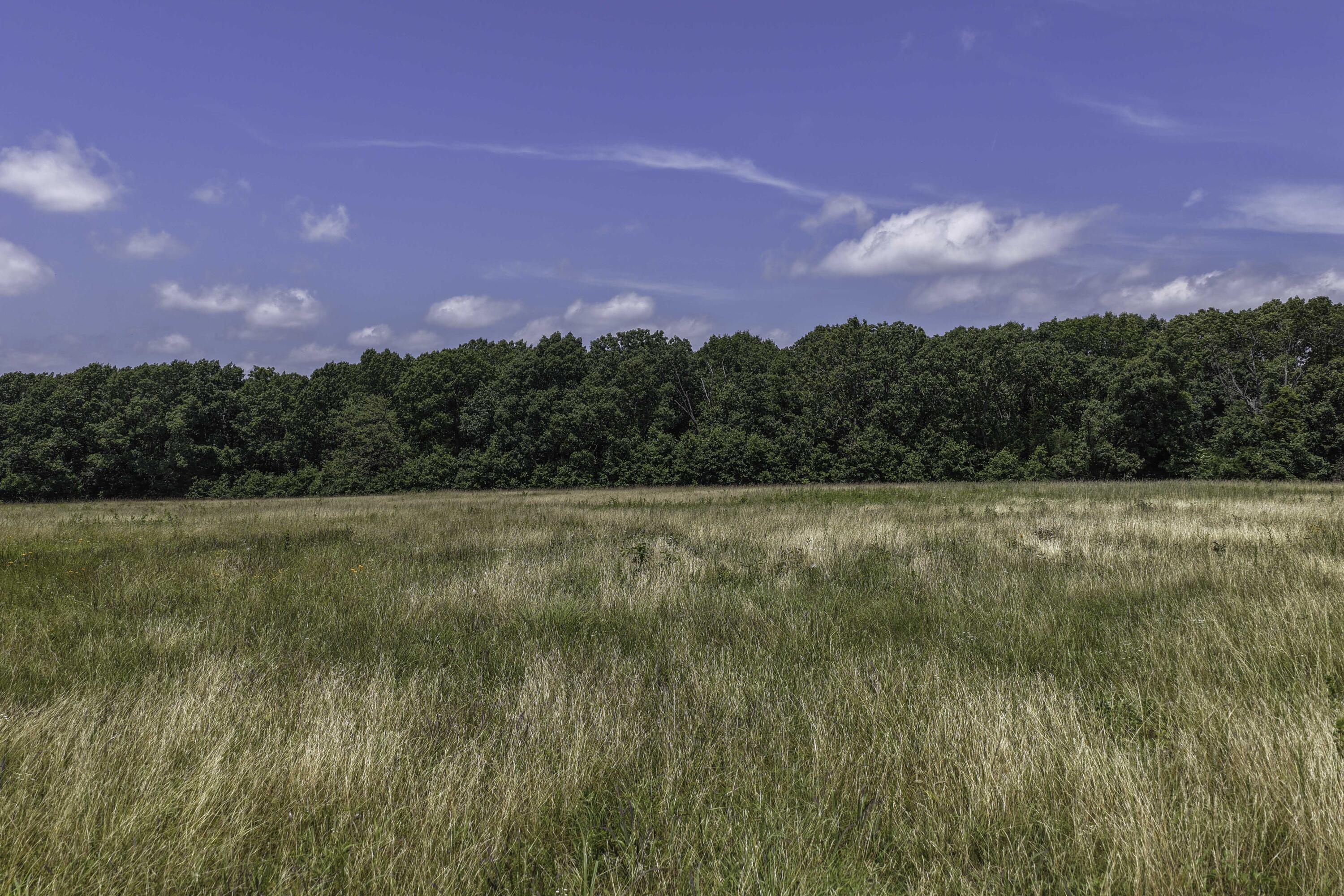 2789 Highway Jj Property Photo 10