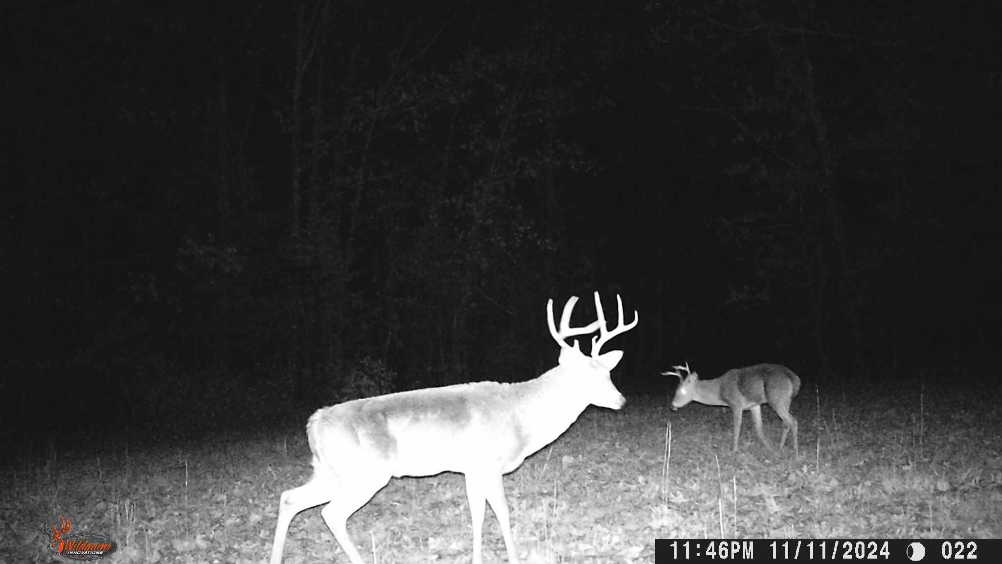 2789 Highway Jj Property Photo 55