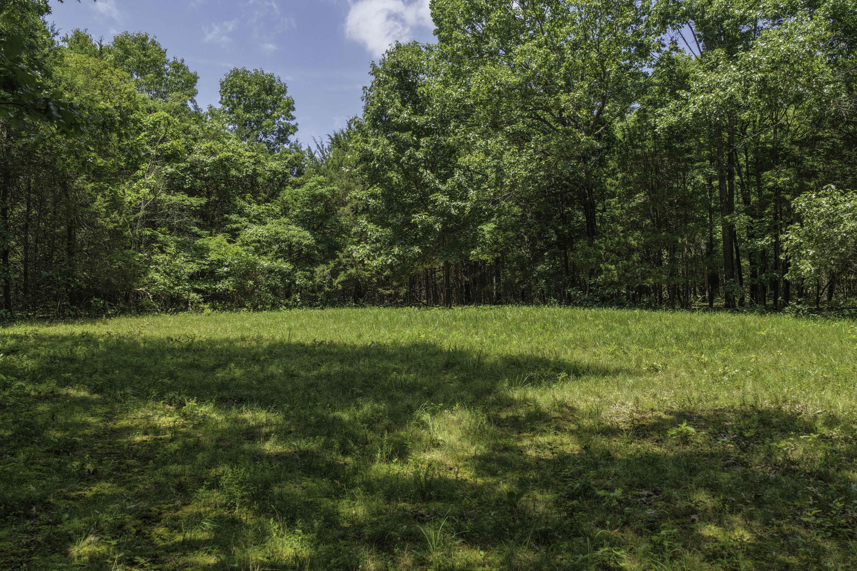 2789 Highway Jj Property Photo 58