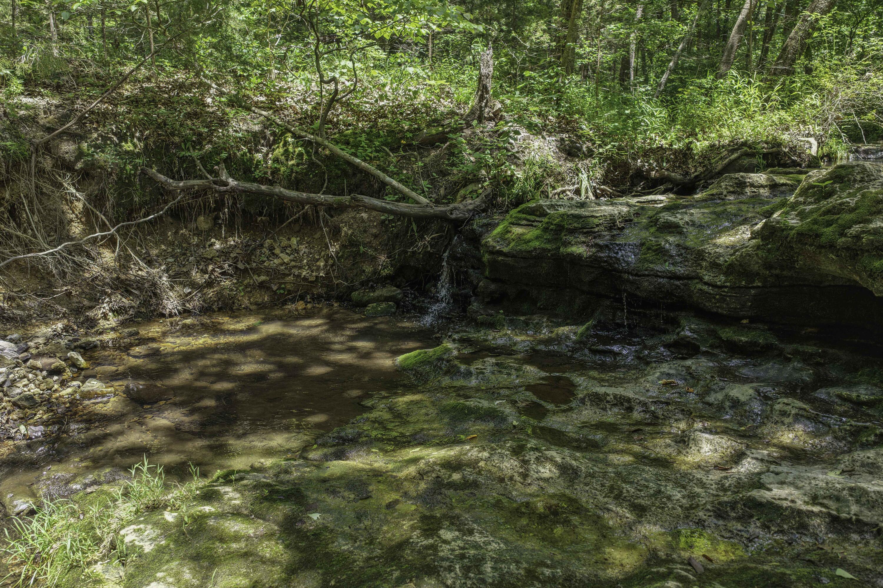 2789 Highway Jj Property Photo 59