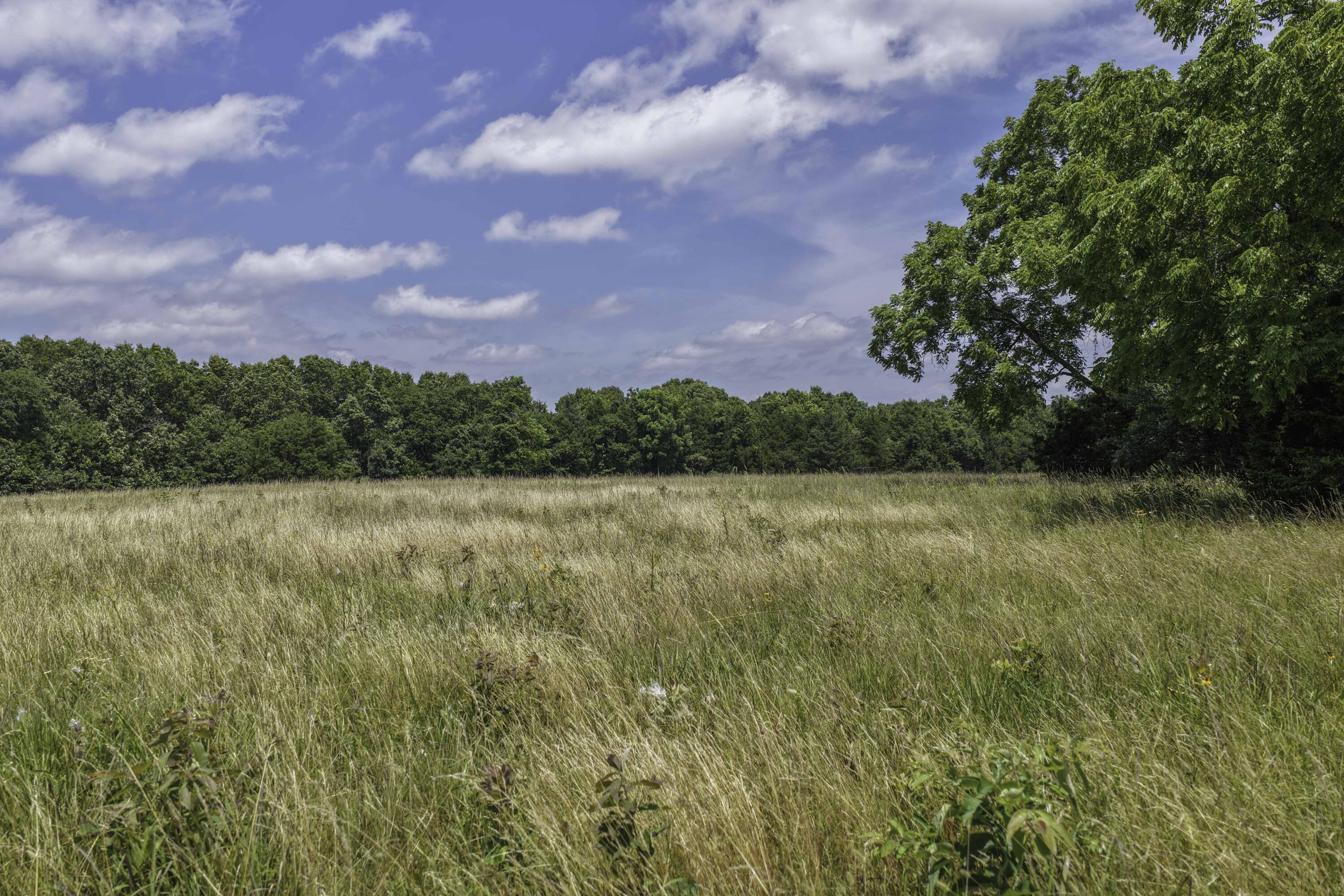 2789 Highway Jj Property Photo 63