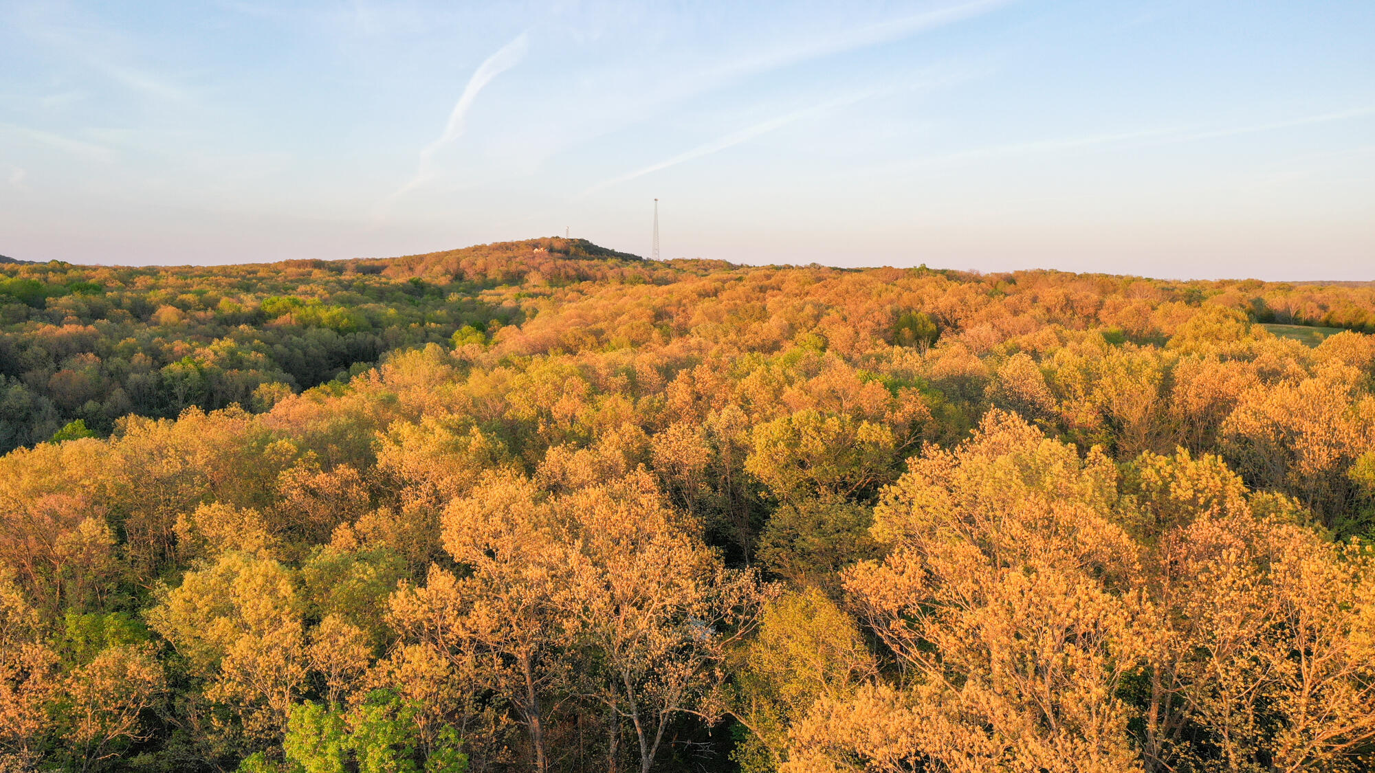 2789 Highway Jj Property Photo 65
