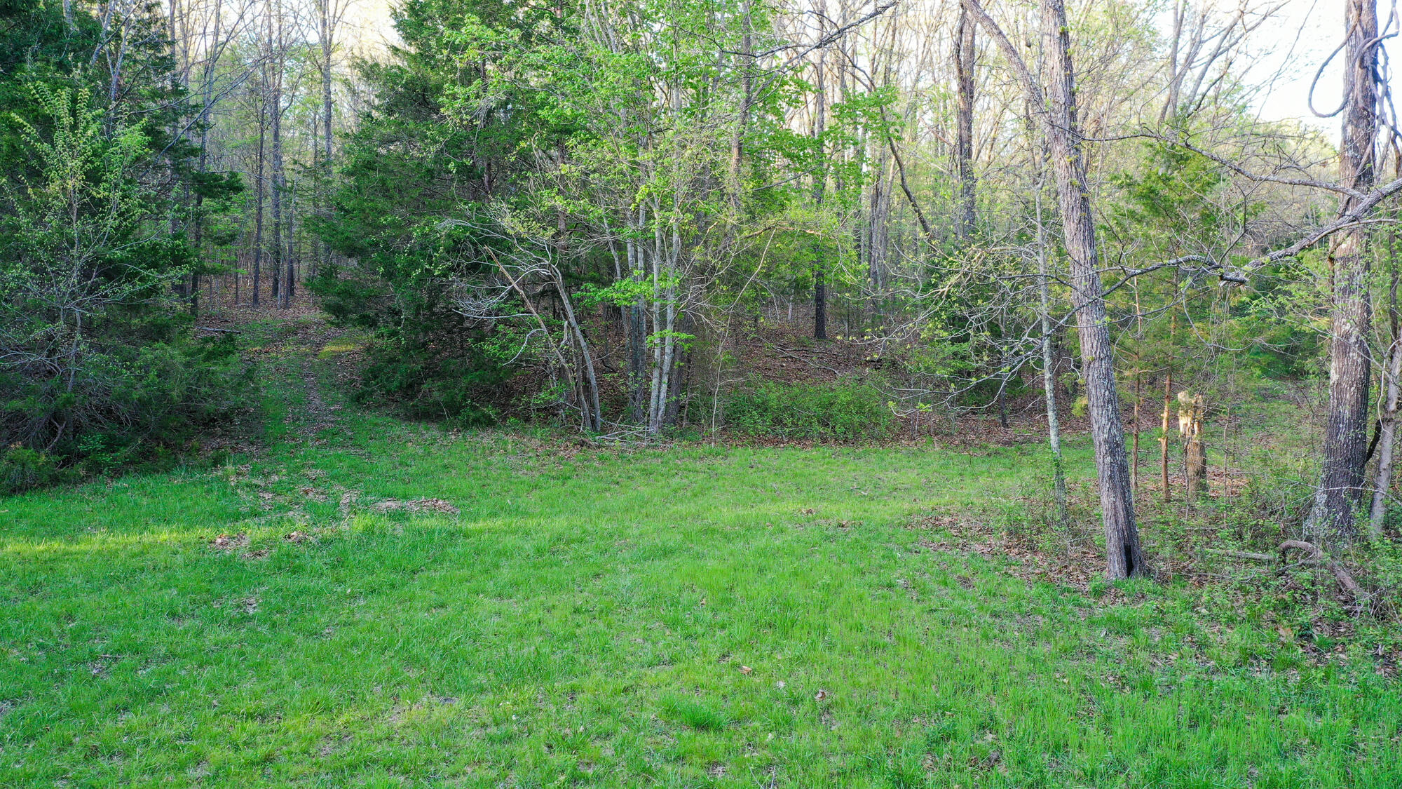 2789 Highway Jj Property Photo 66