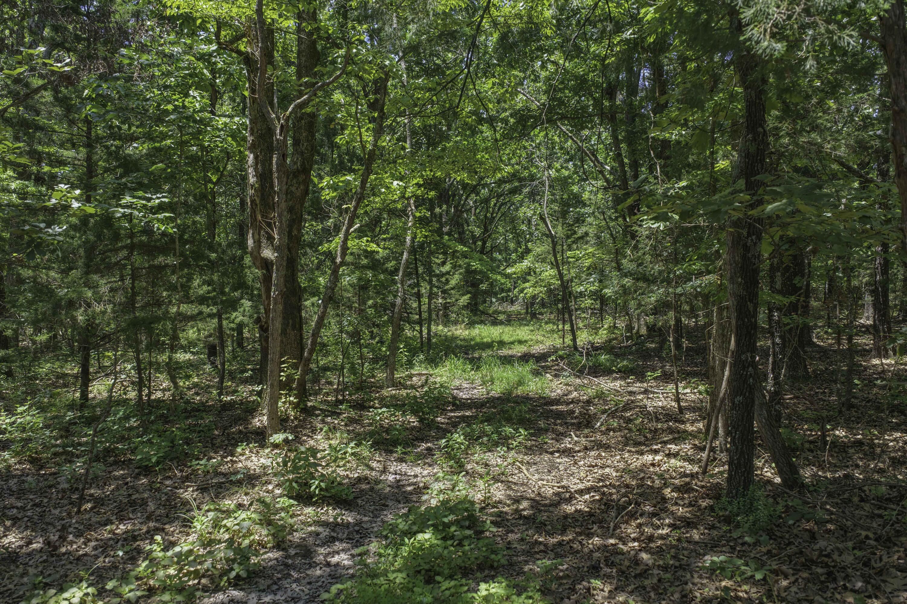 2789 Highway Jj Property Photo 67