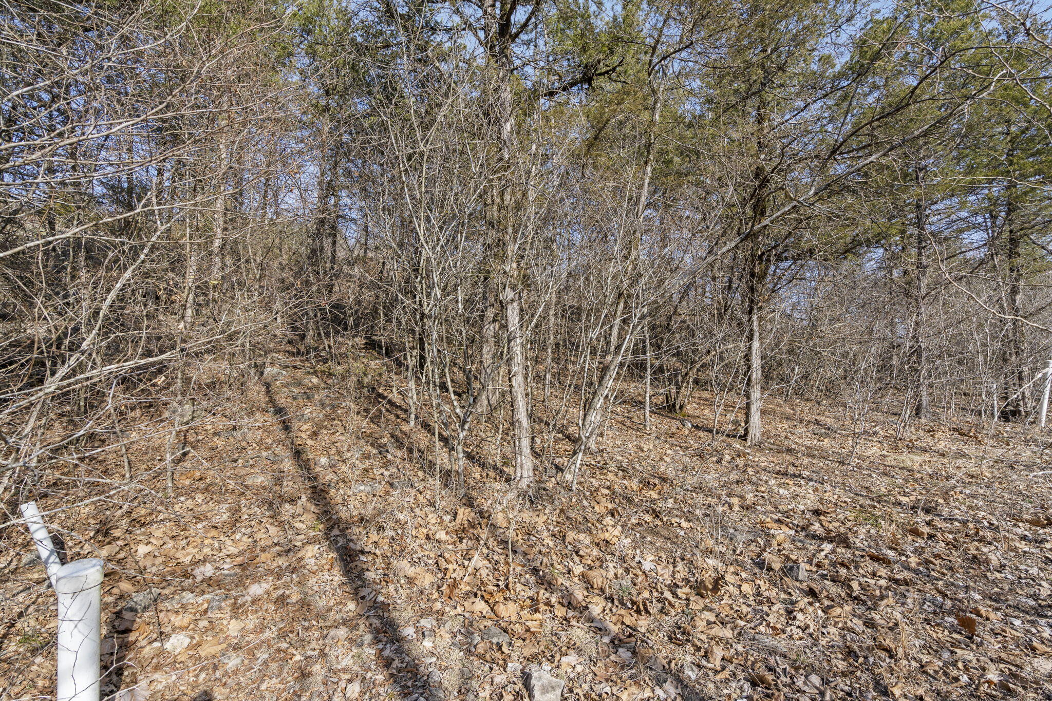 142/143 Country Ridge Way Property Photo 8