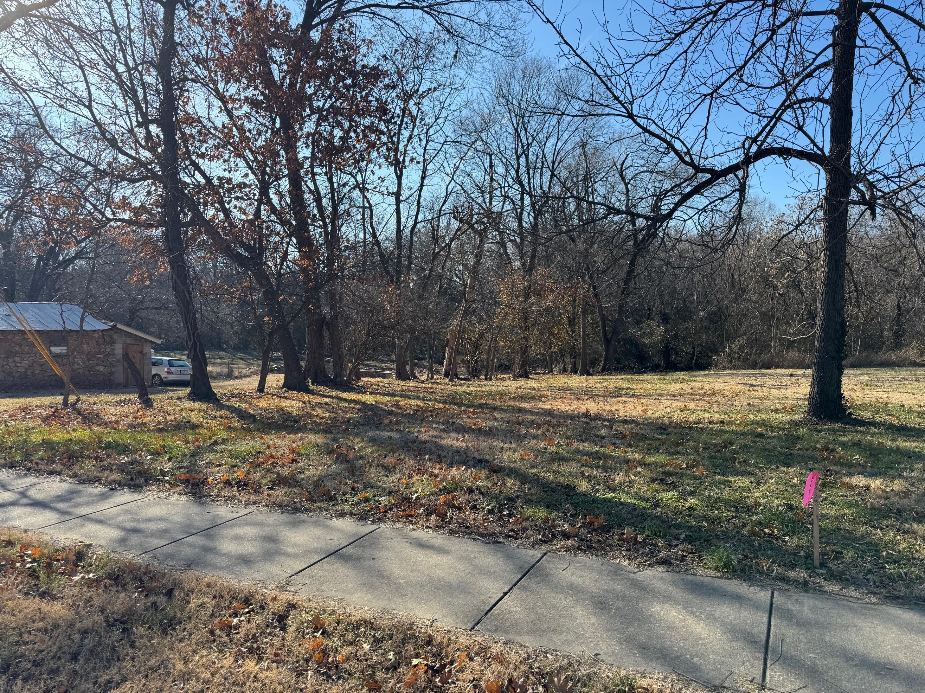 Lot 13 North Summit Avenue Property Photo 1