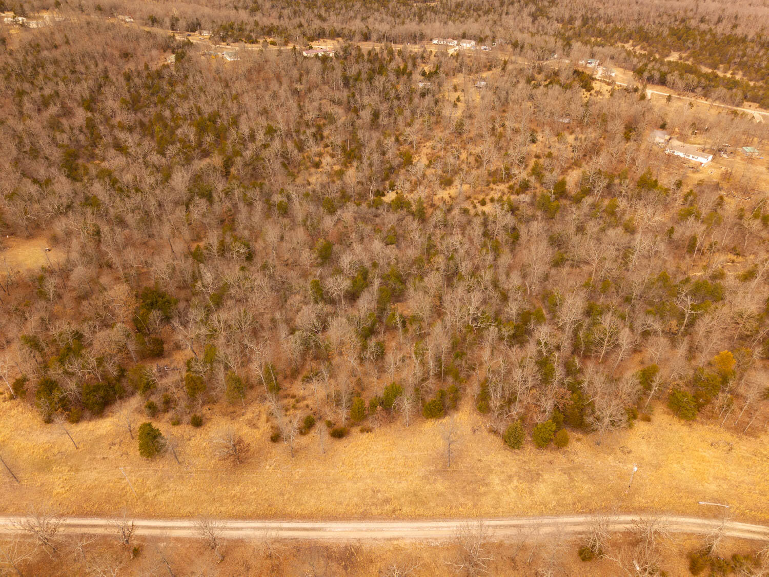 000 Oakridge Road Property Photo 4