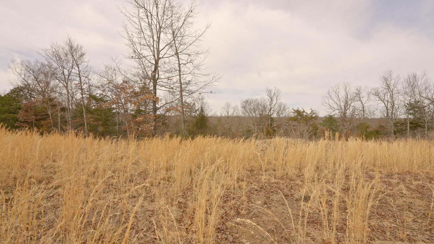 Lot 22 Oakridge Drive Property Photo