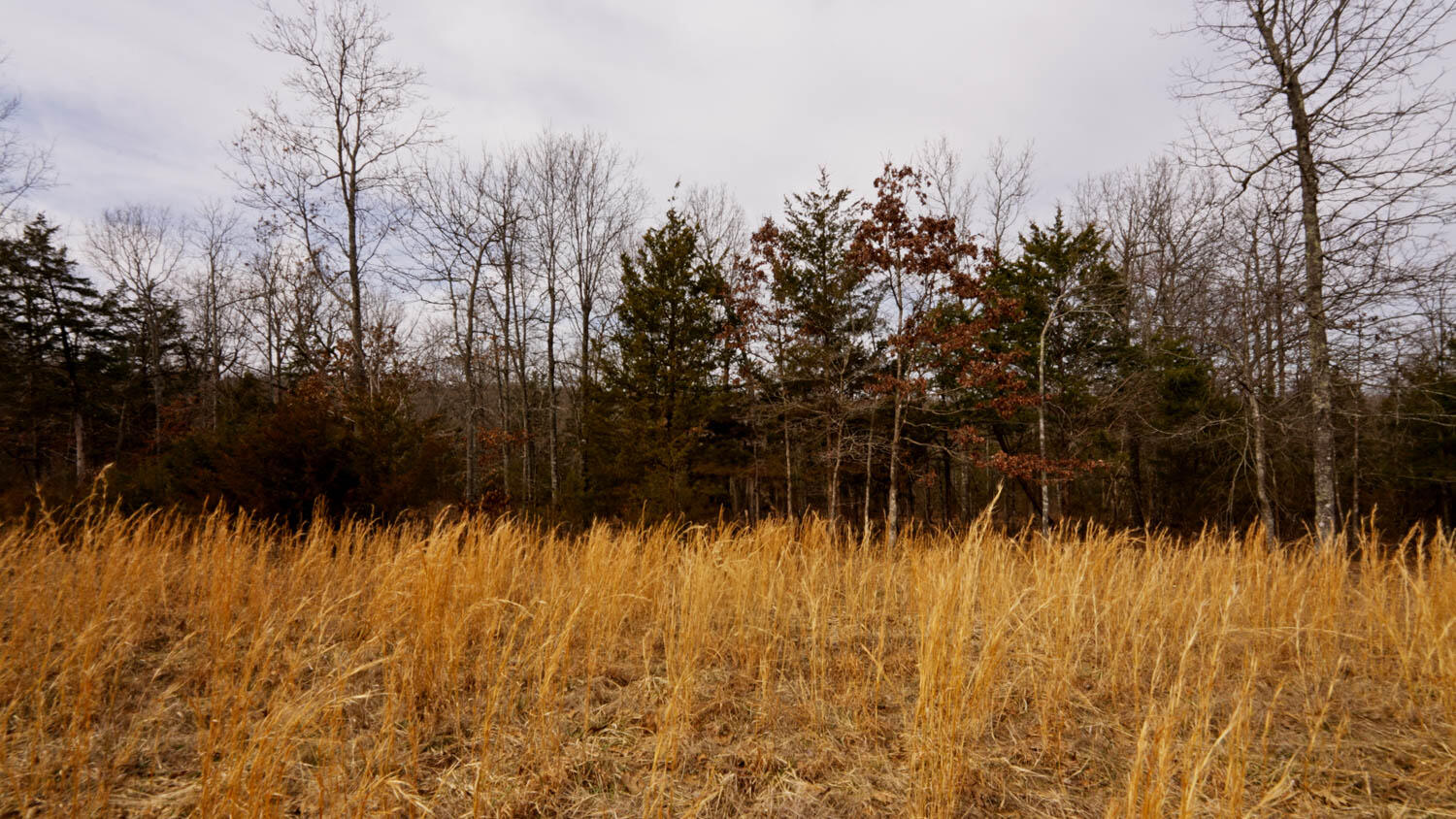 Lot 21 Oakridge Drive Property Photo