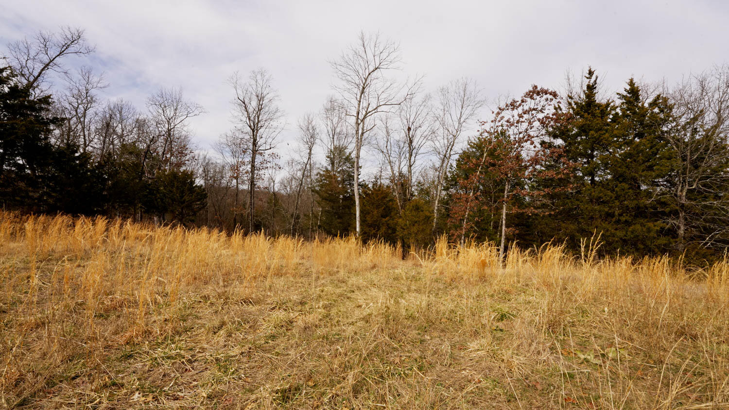Lot 20 Oakridge Drive Property Photo