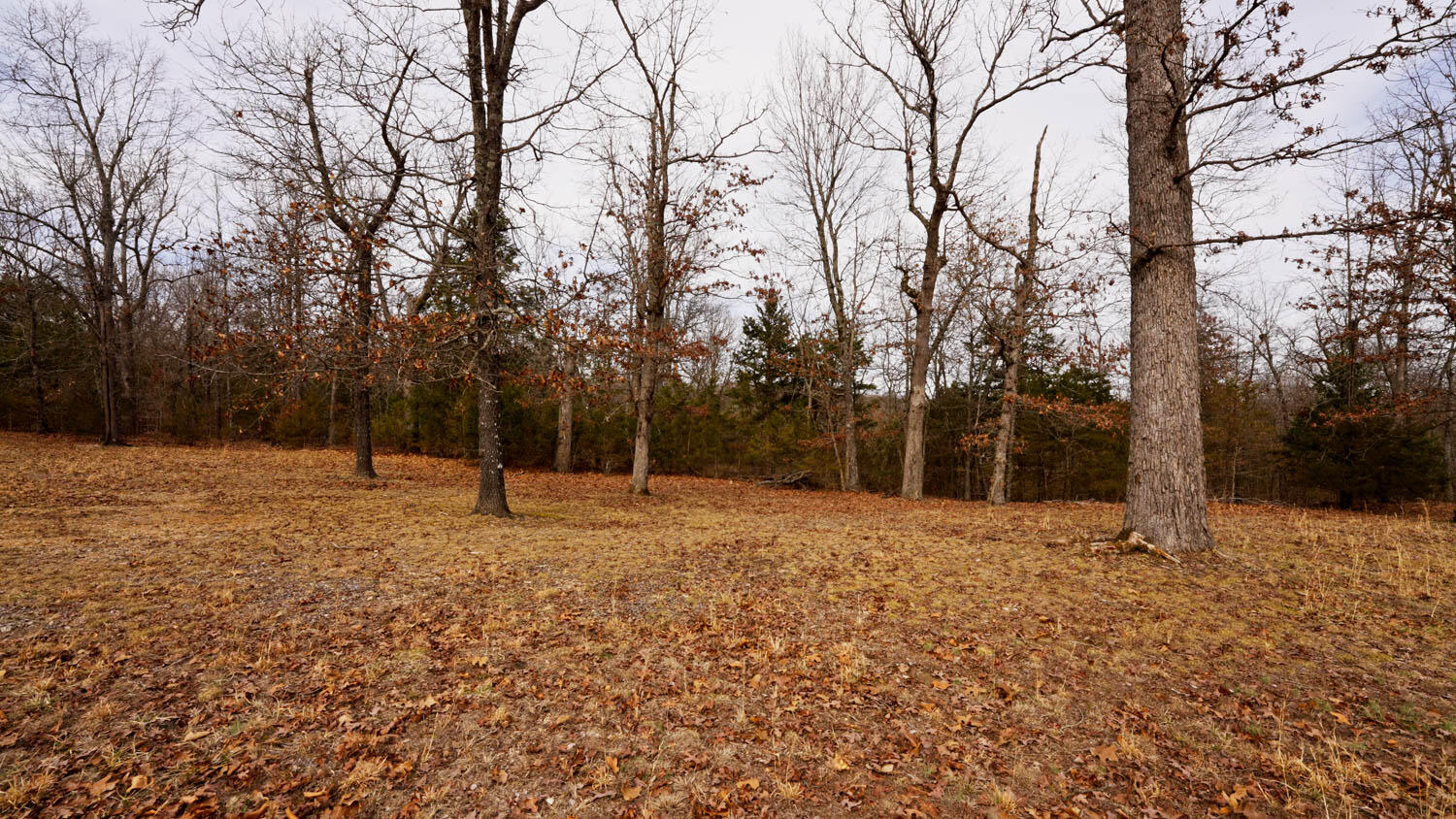 Lot 18 Oakridge Drive Property Photo