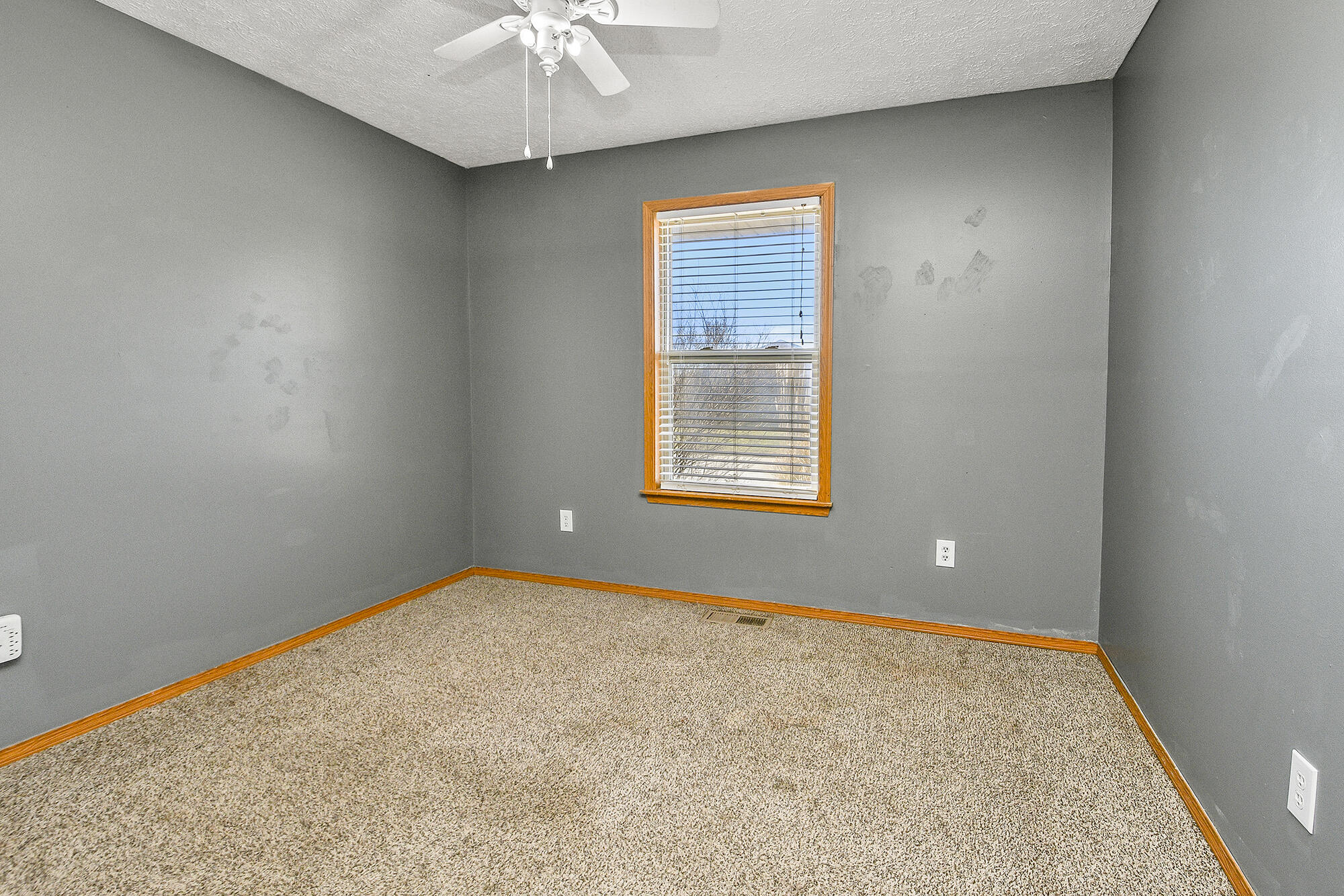 6206 North 13th Avenue Property Photo 24