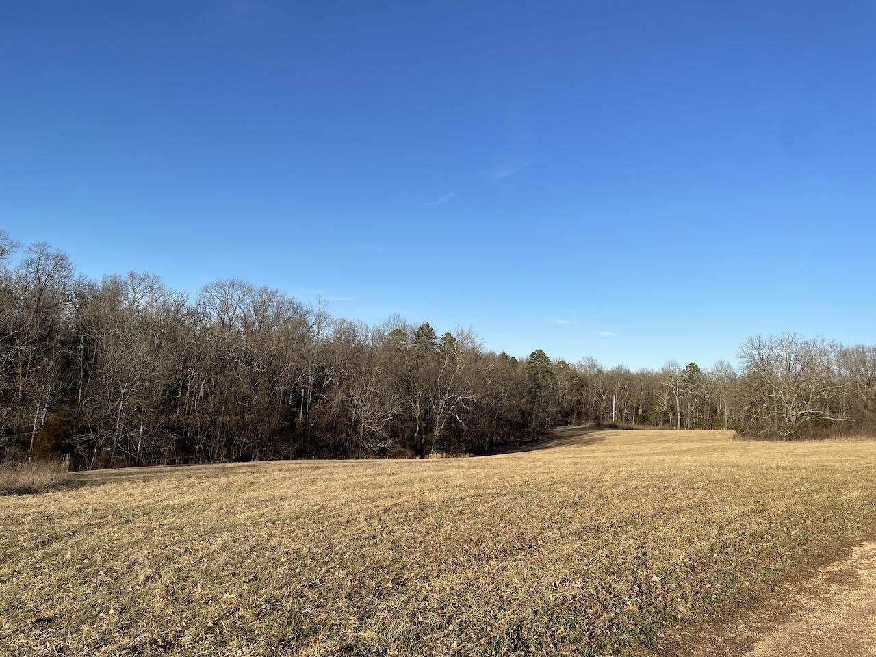 000 County Road Zz-483 Property Photo 3