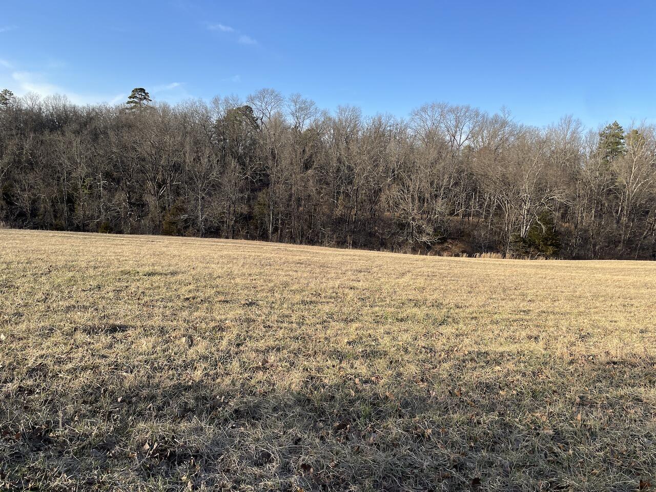 000 County Road Zz-483 Property Photo 4