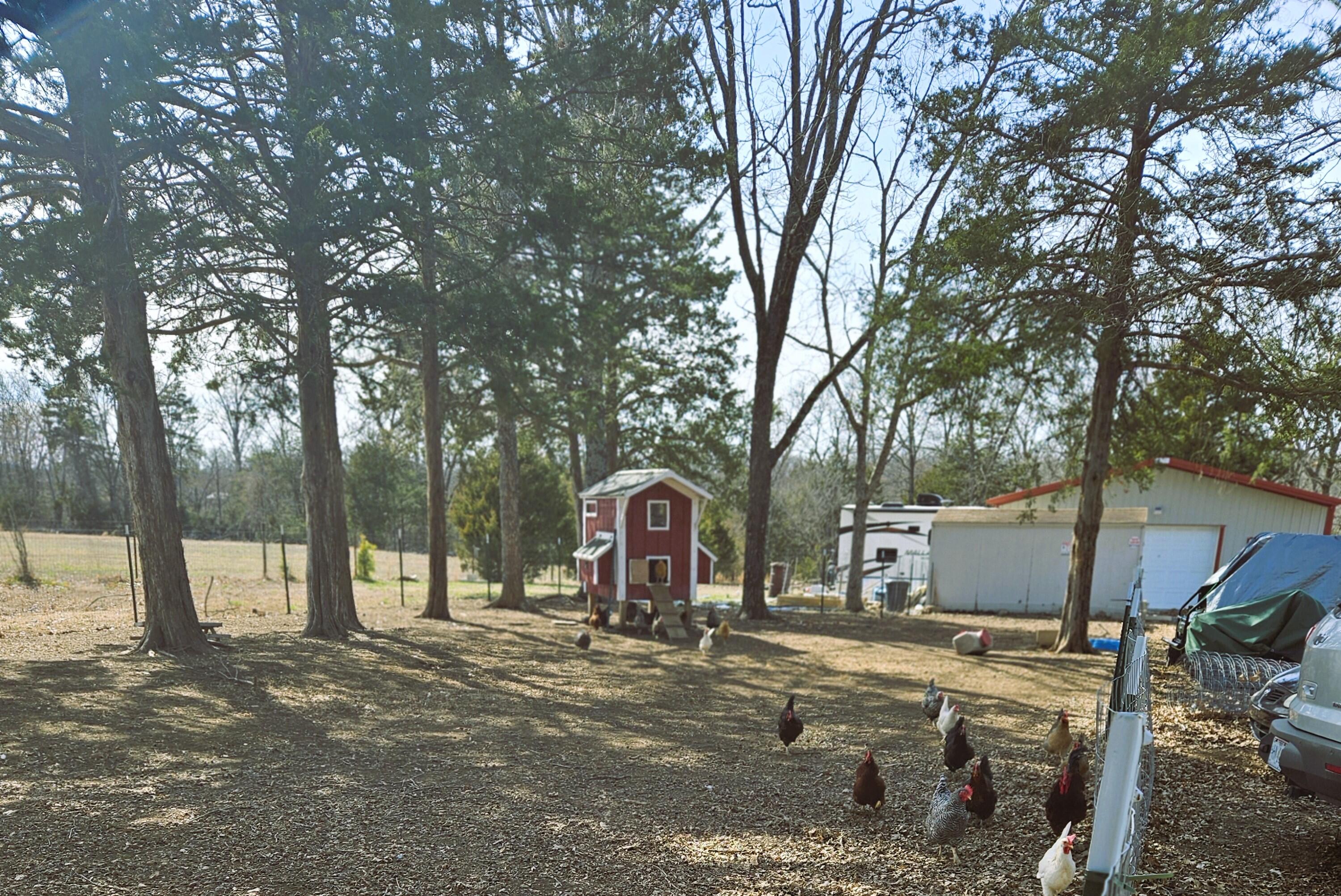 266 Chadwick Road Property Photo 4