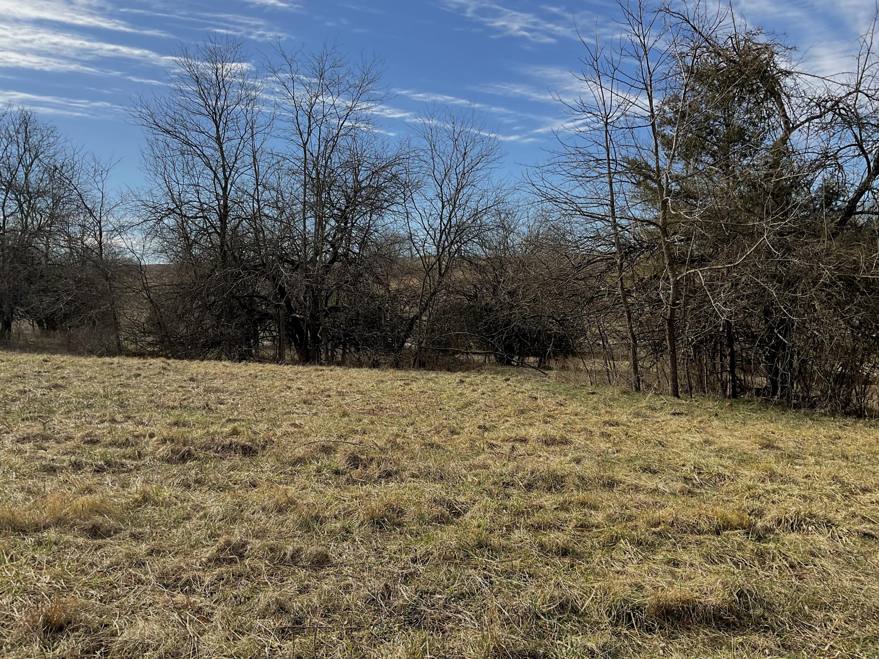 000 West State Highway U - Tract 1 Property Photo 5