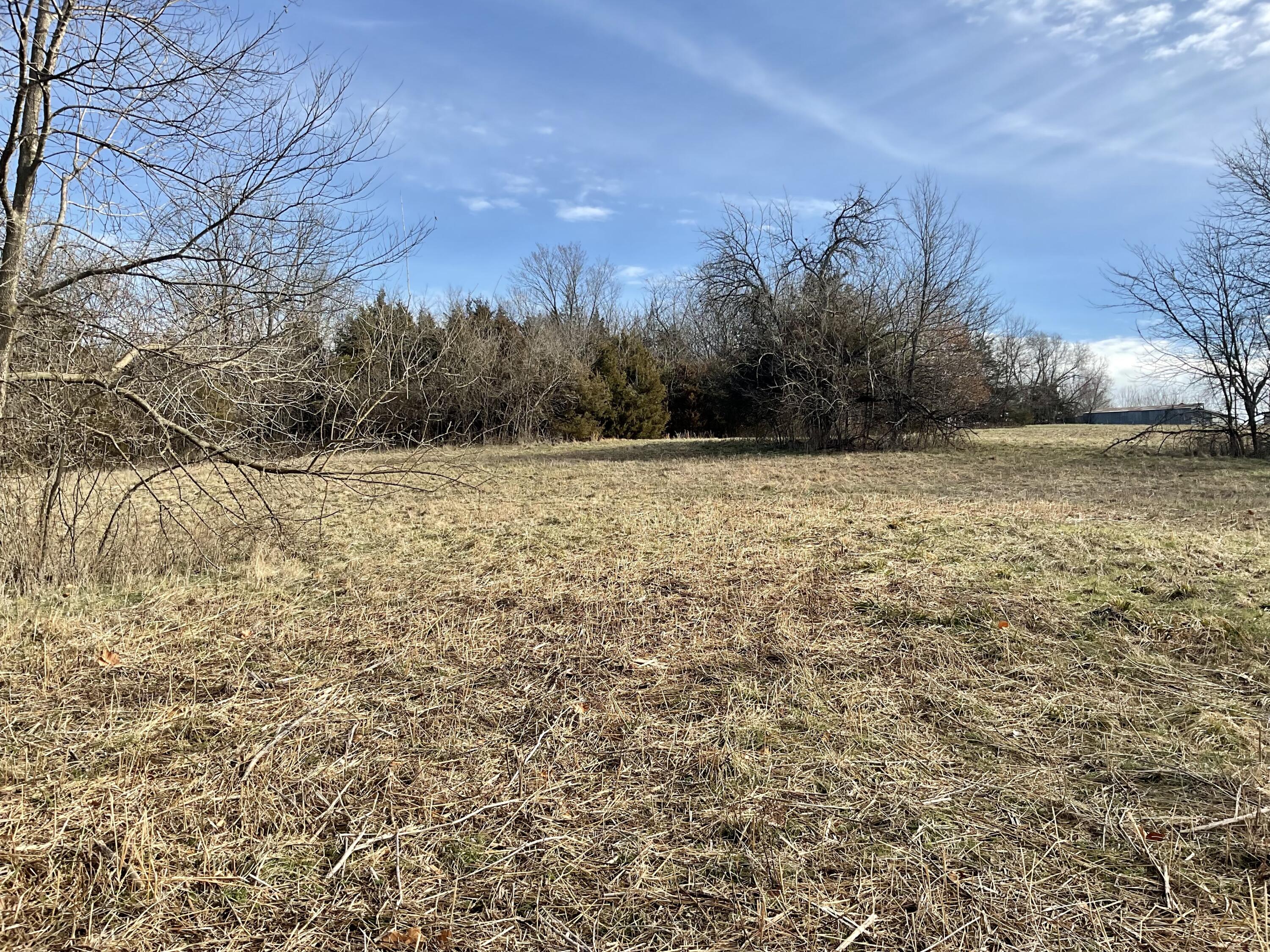 000 West State Highway U - Tract 1 Property Photo 8