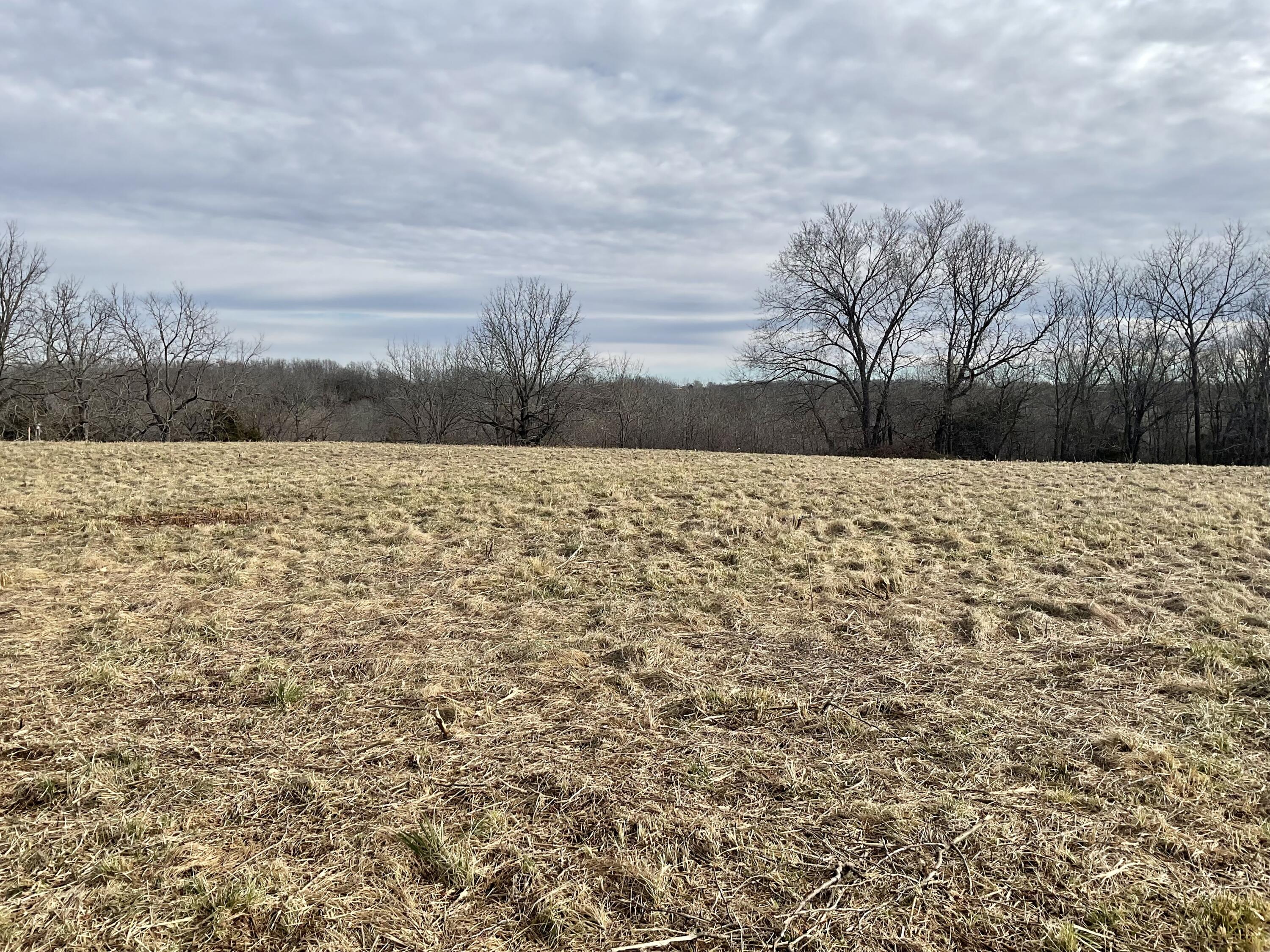Tbd West State Highway U Property Photo 3