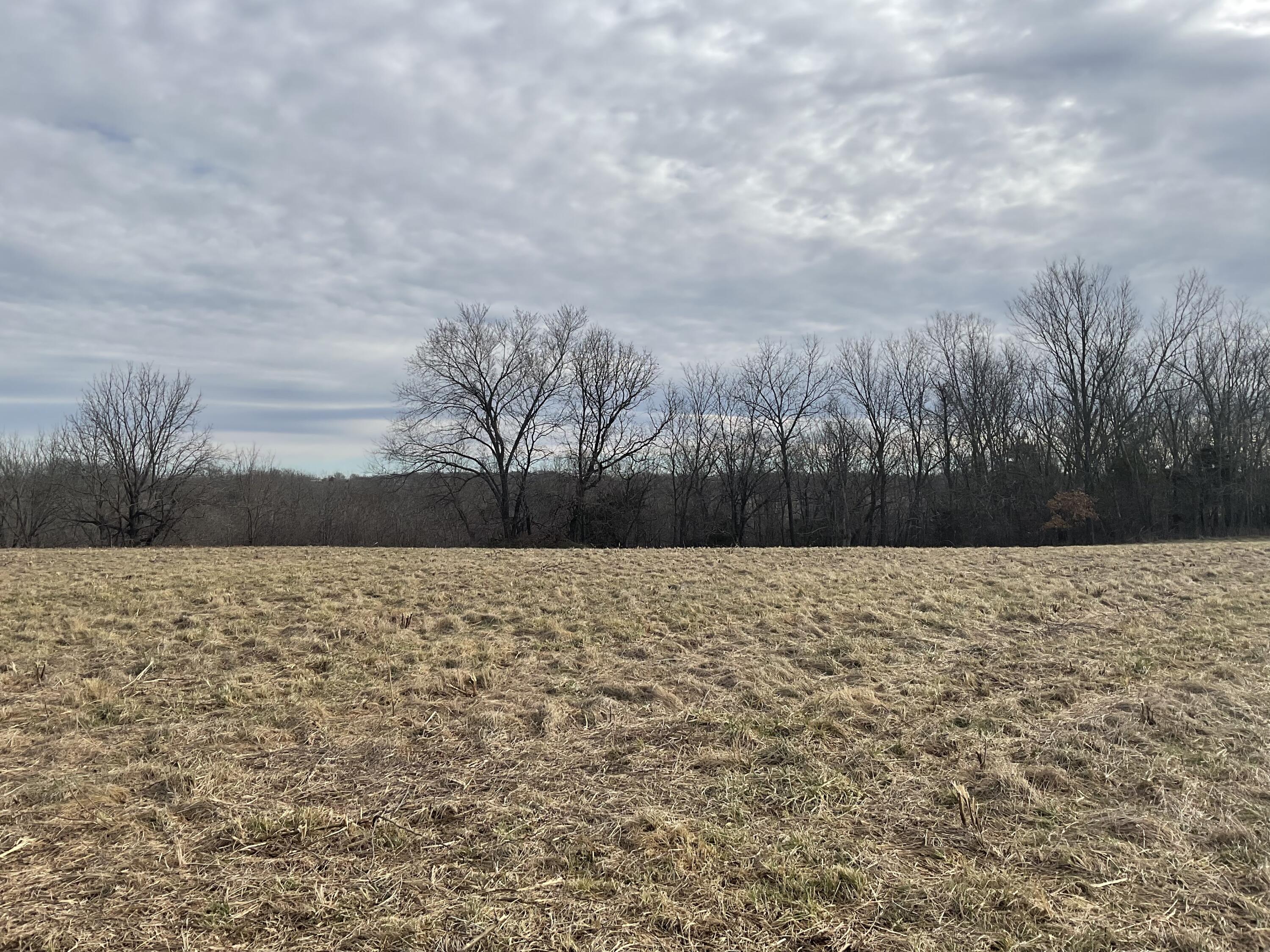 Tbd West State Highway U Property Photo 4