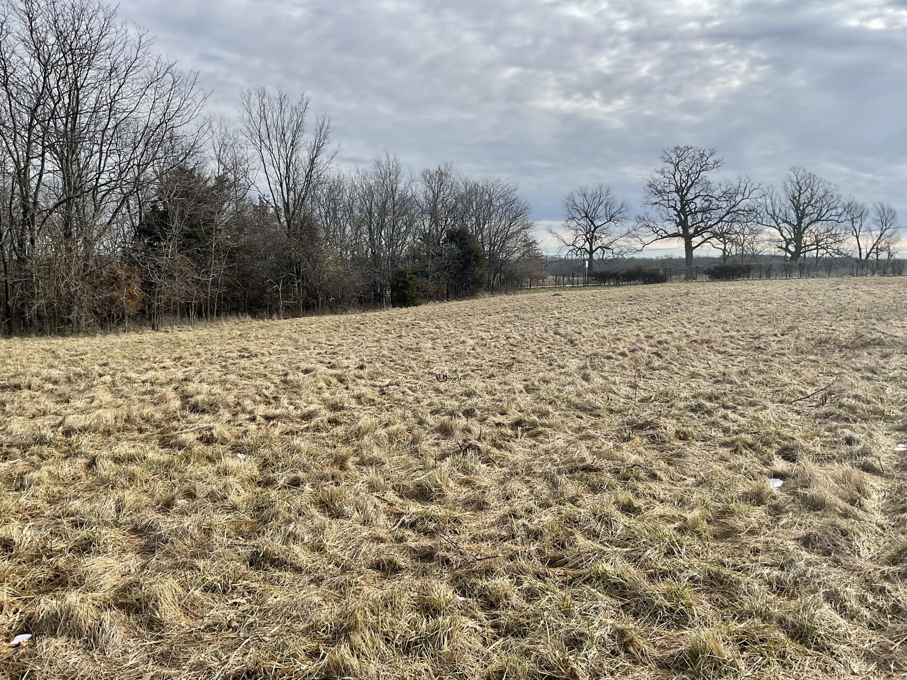 Tbd West State Highway U Property Photo 7