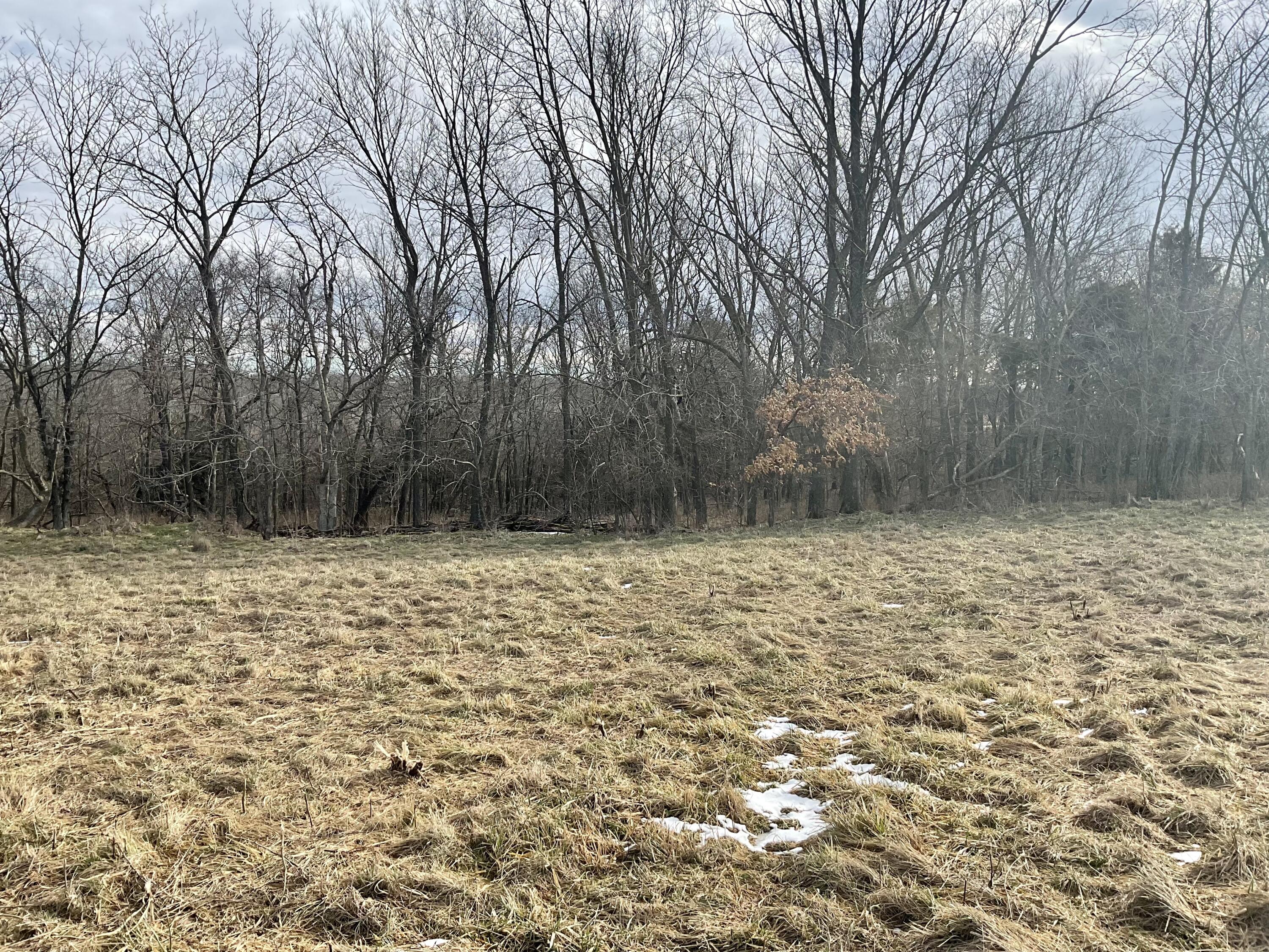 Tbd West State Highway U Property Photo 8
