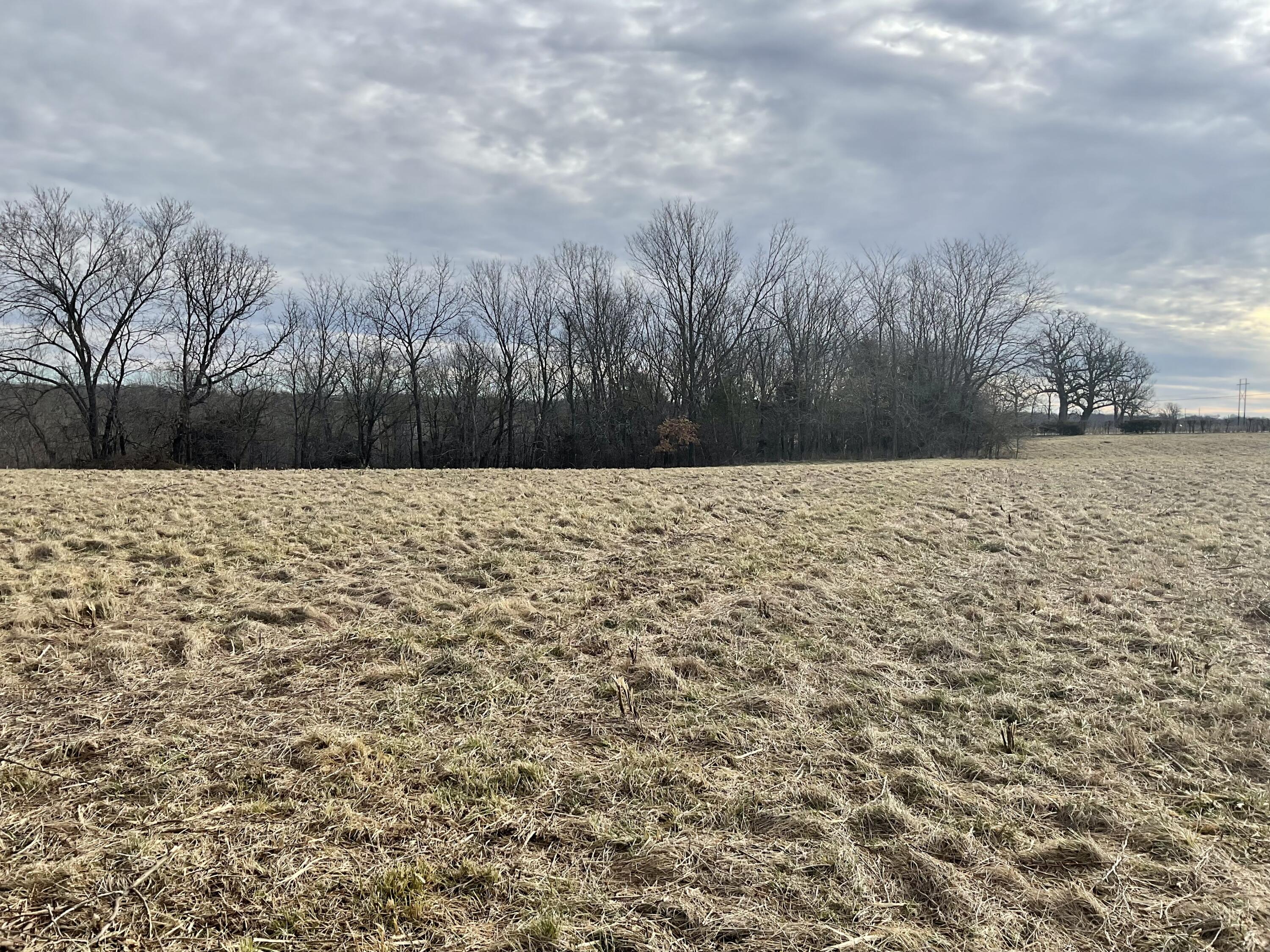 Tbd West State Highway U Property Photo 9