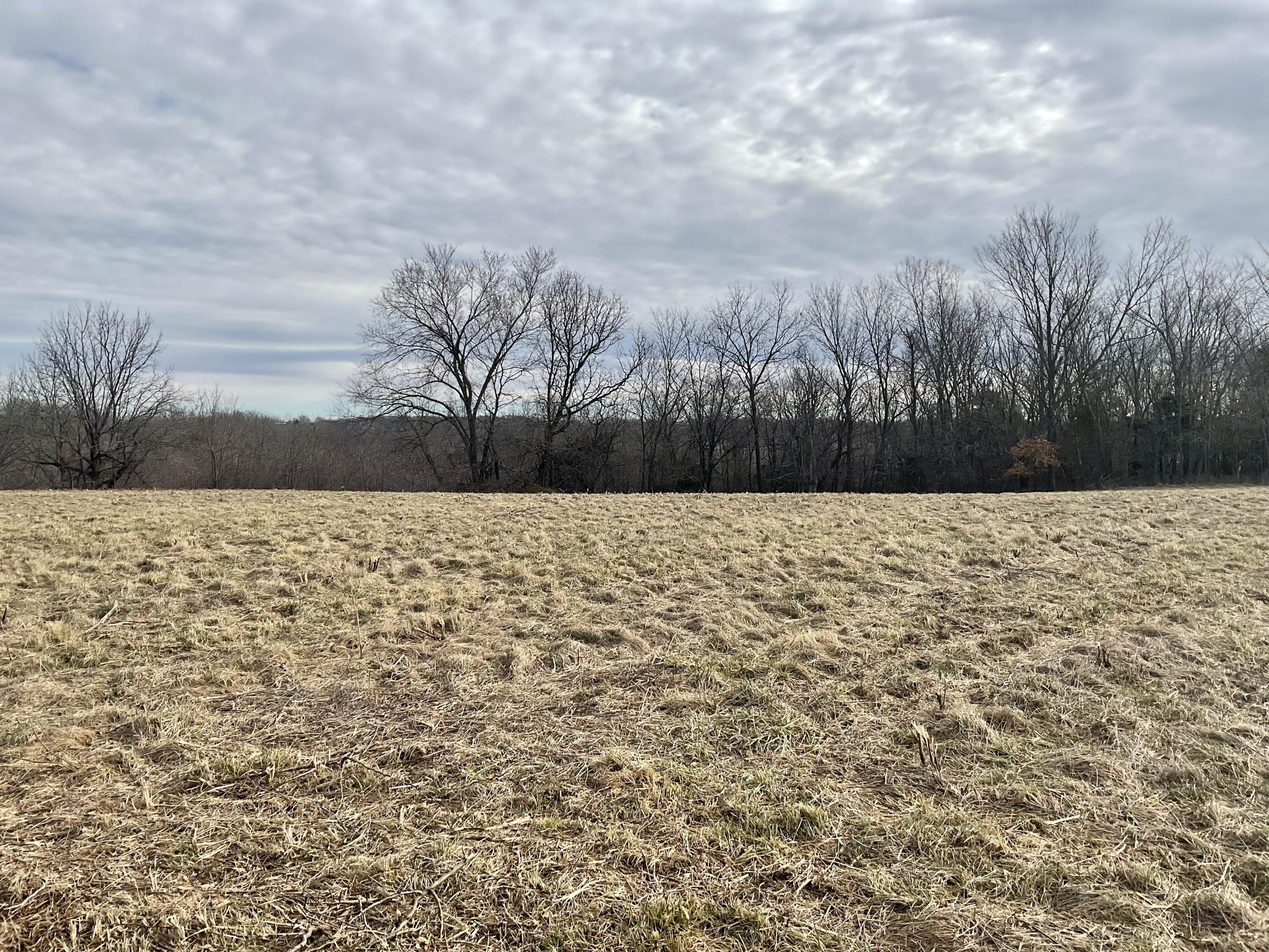 Tbd West State Highway U Property Photo 10