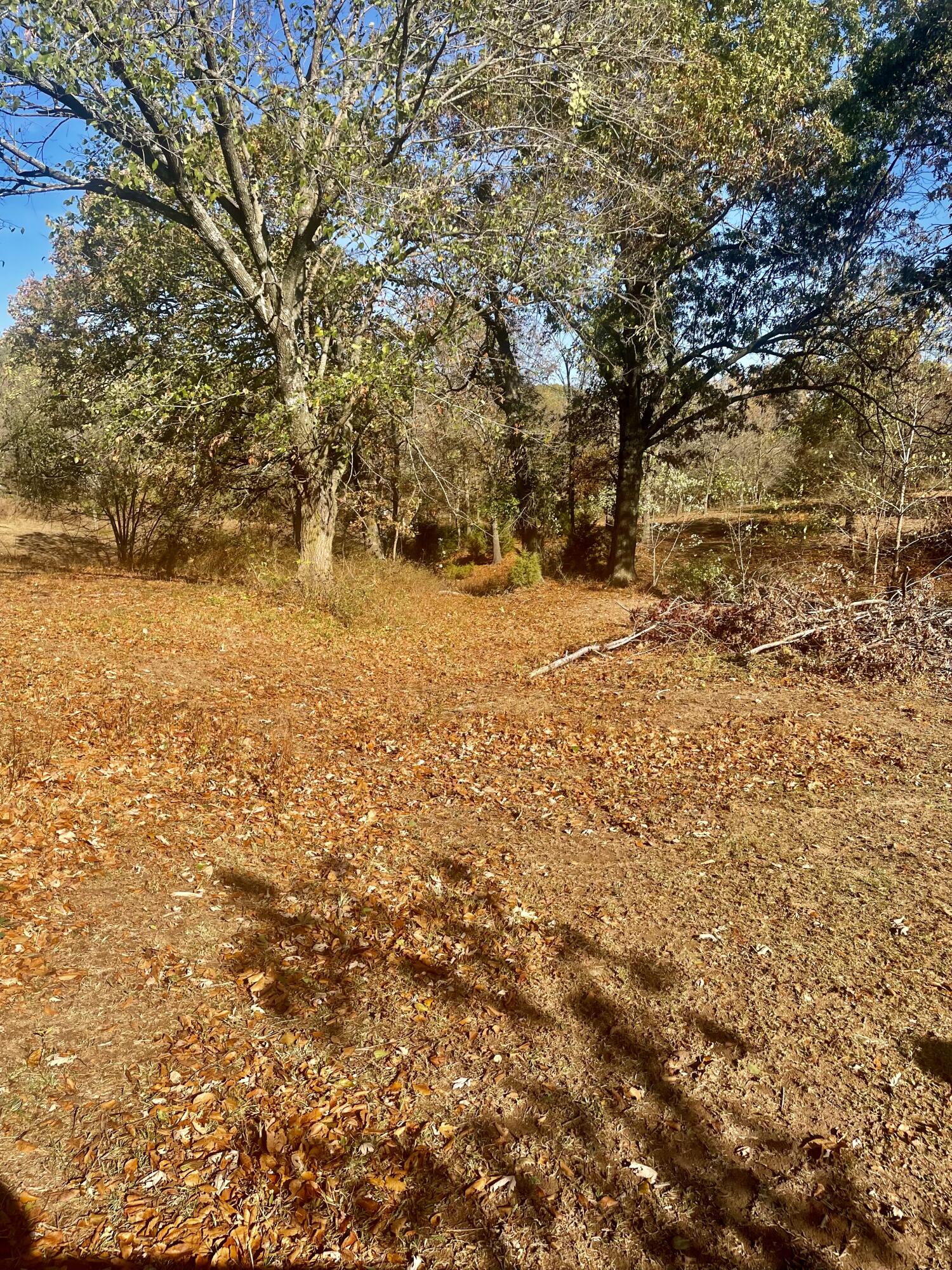3525 West State Highway 76 Property Photo 7