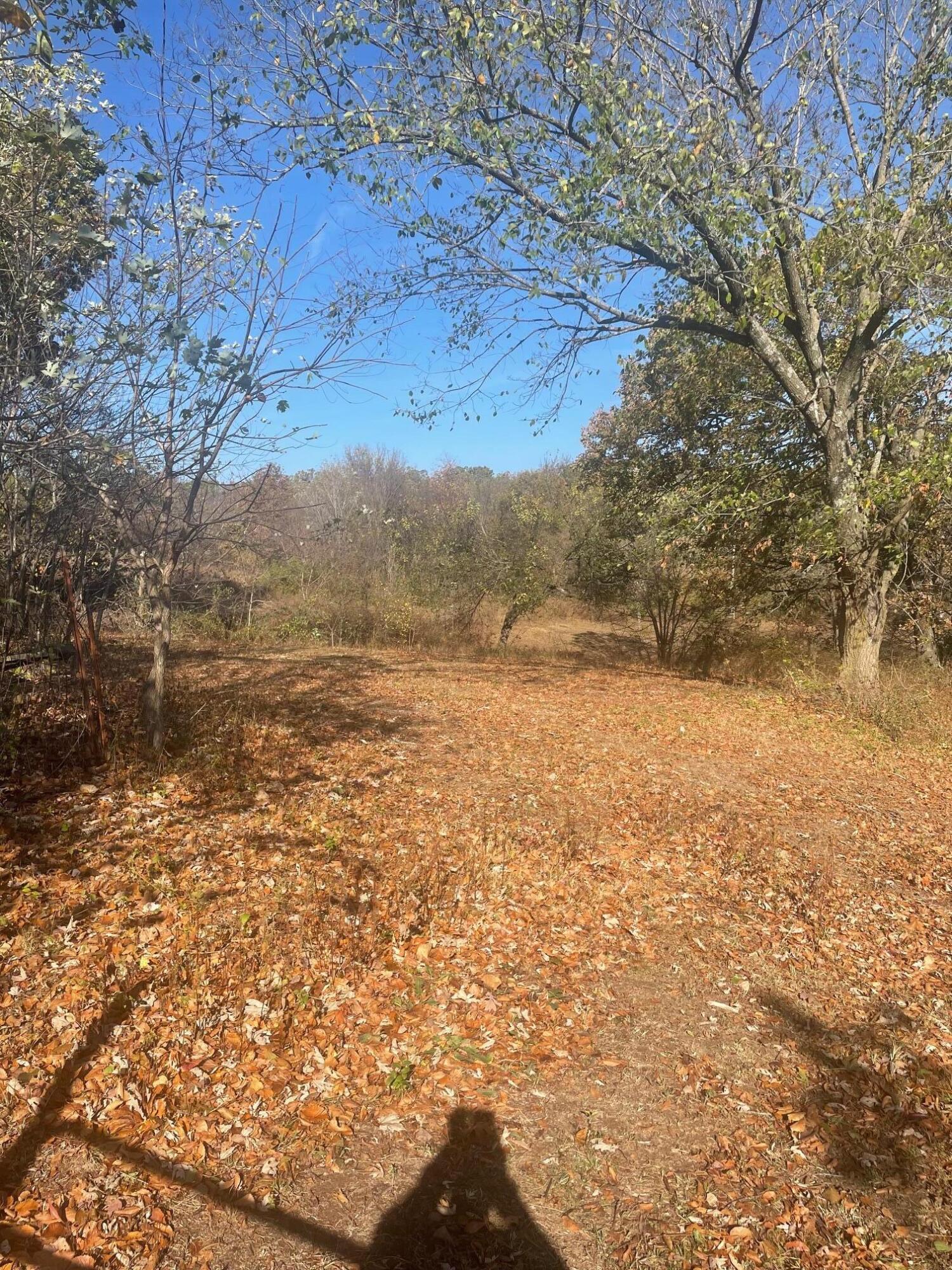 3525 West State Highway 76 Property Photo 9
