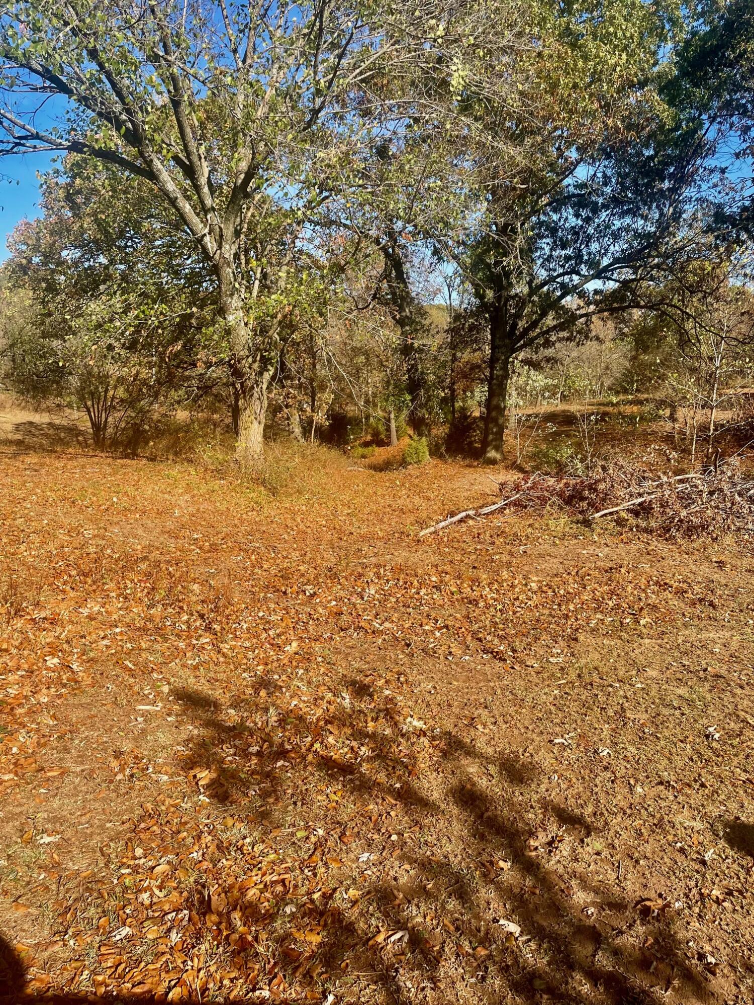 3525 West State Highway 76 Property Photo 12