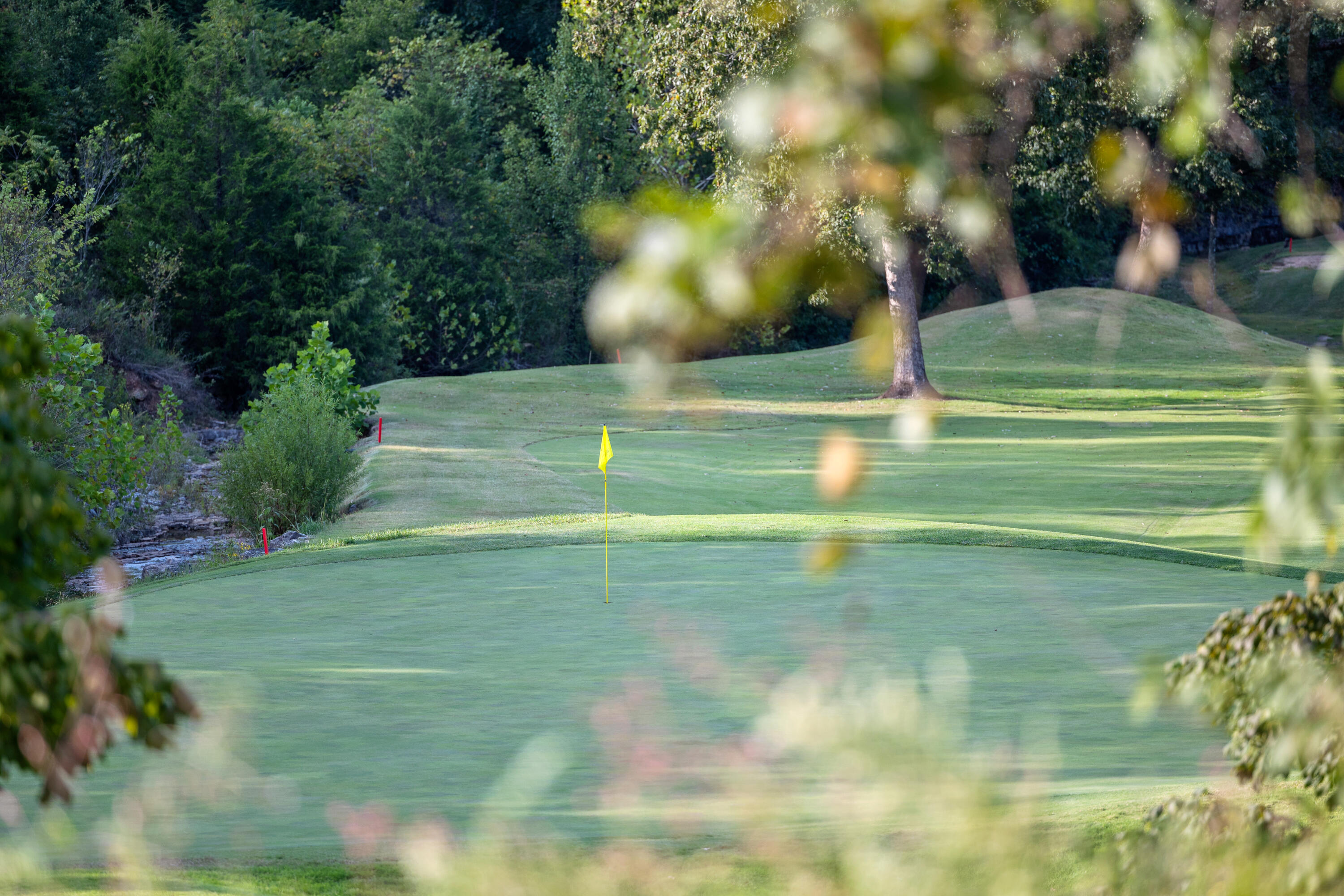 9 Bermuda Drive Property Photo 3