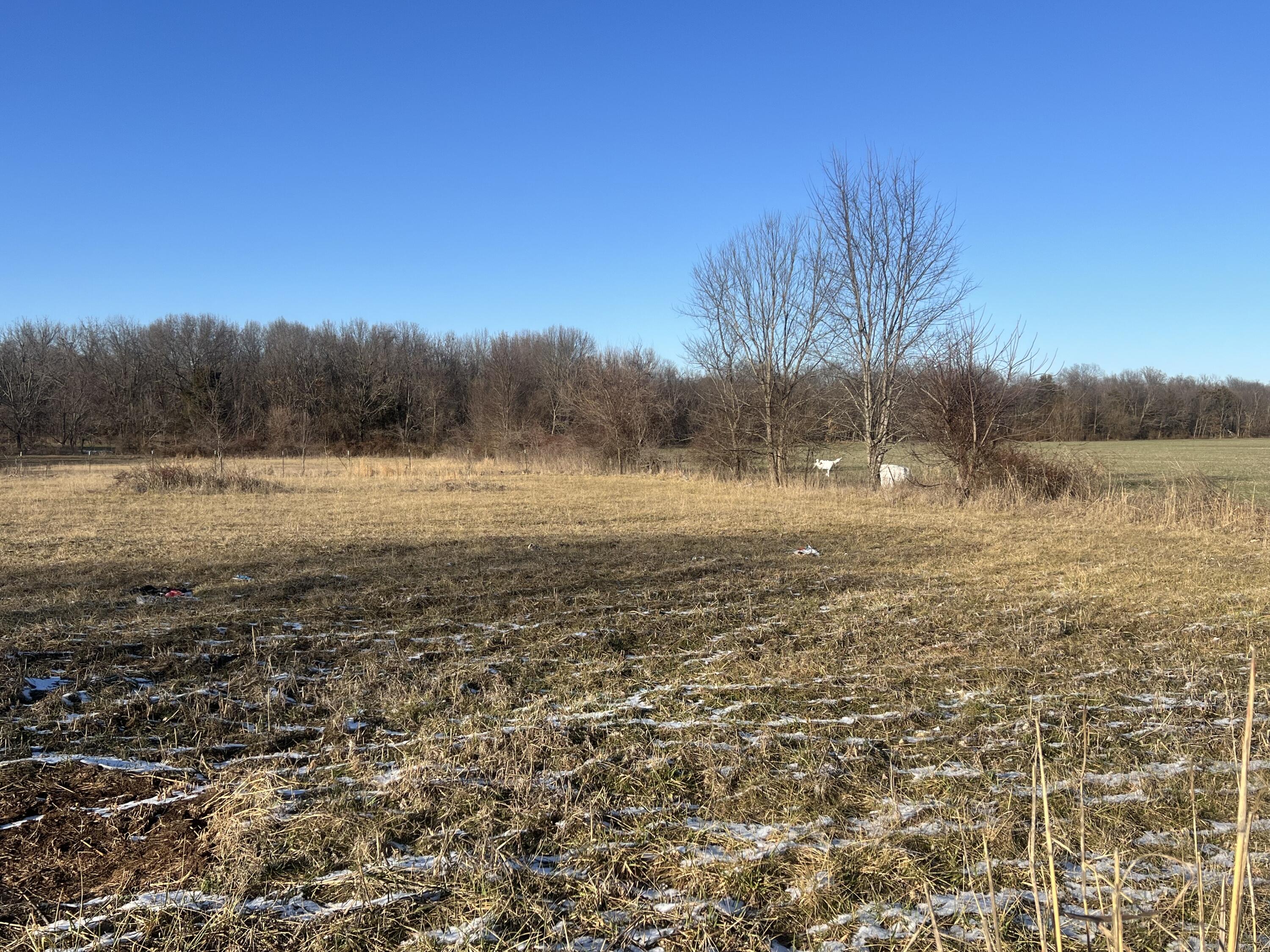 9659 West Farm Rd 124 Property Photo 8